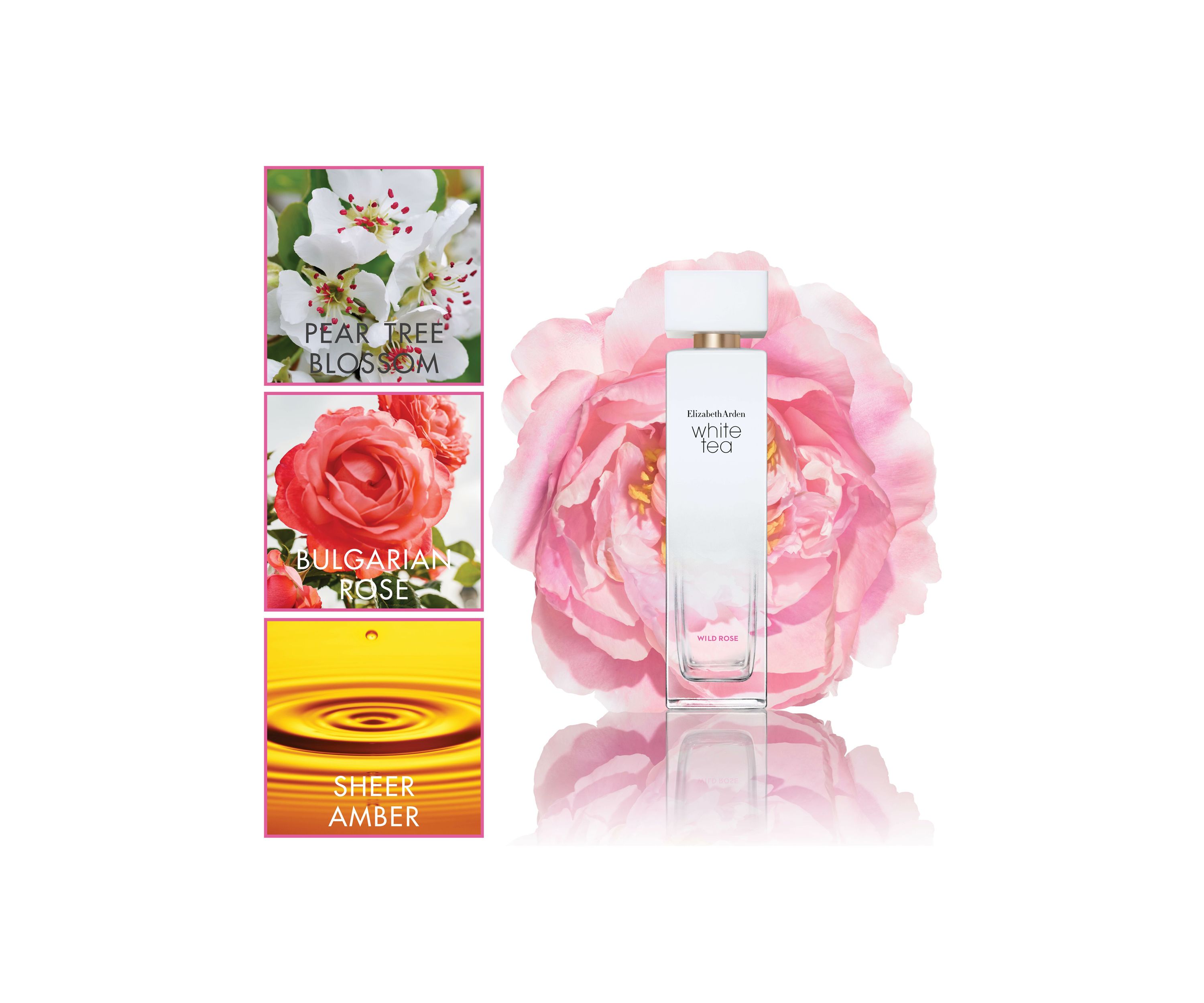 White Tea Wild Rose Eau De Toilette Spray