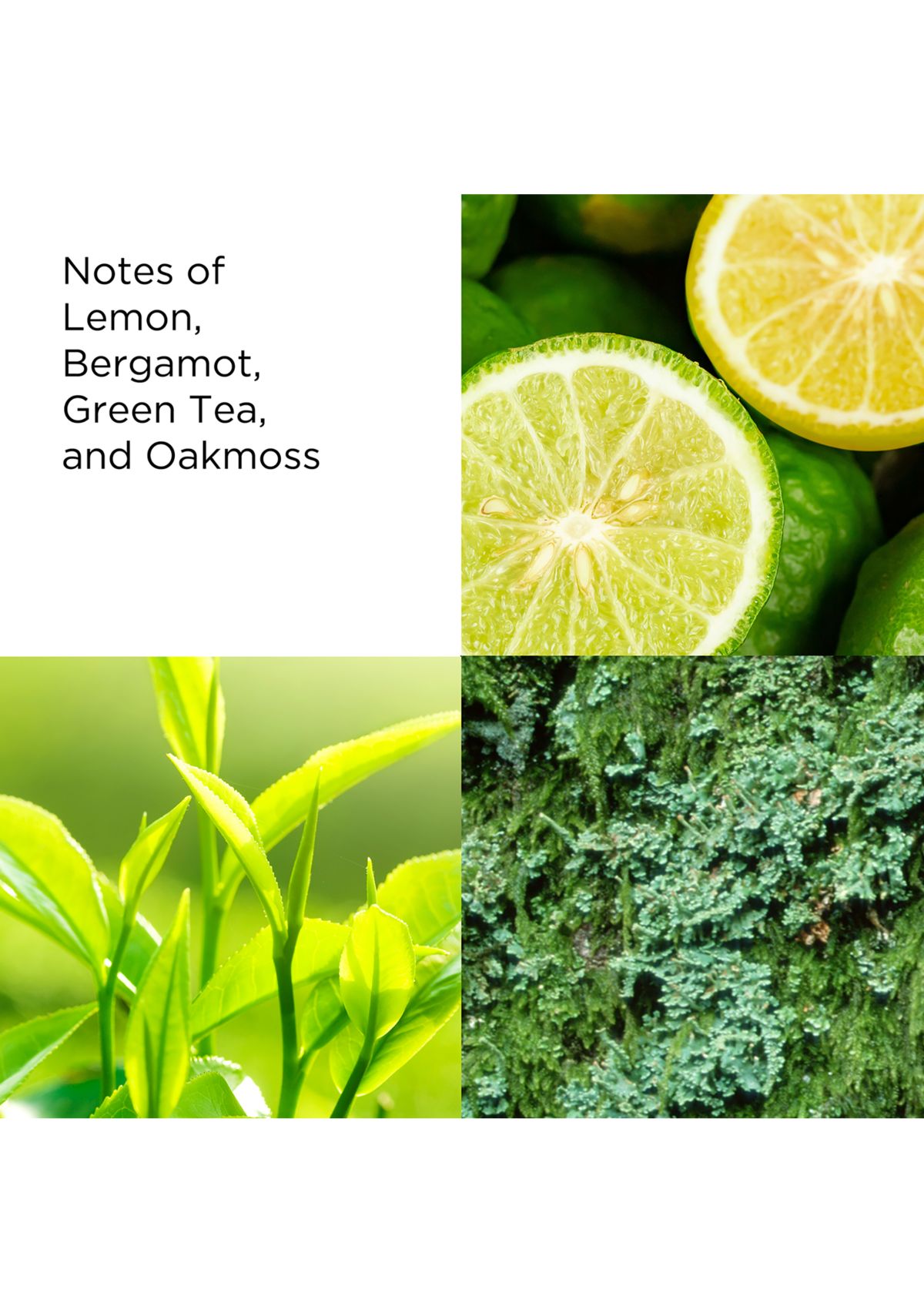   Green Tea Scent Spray 