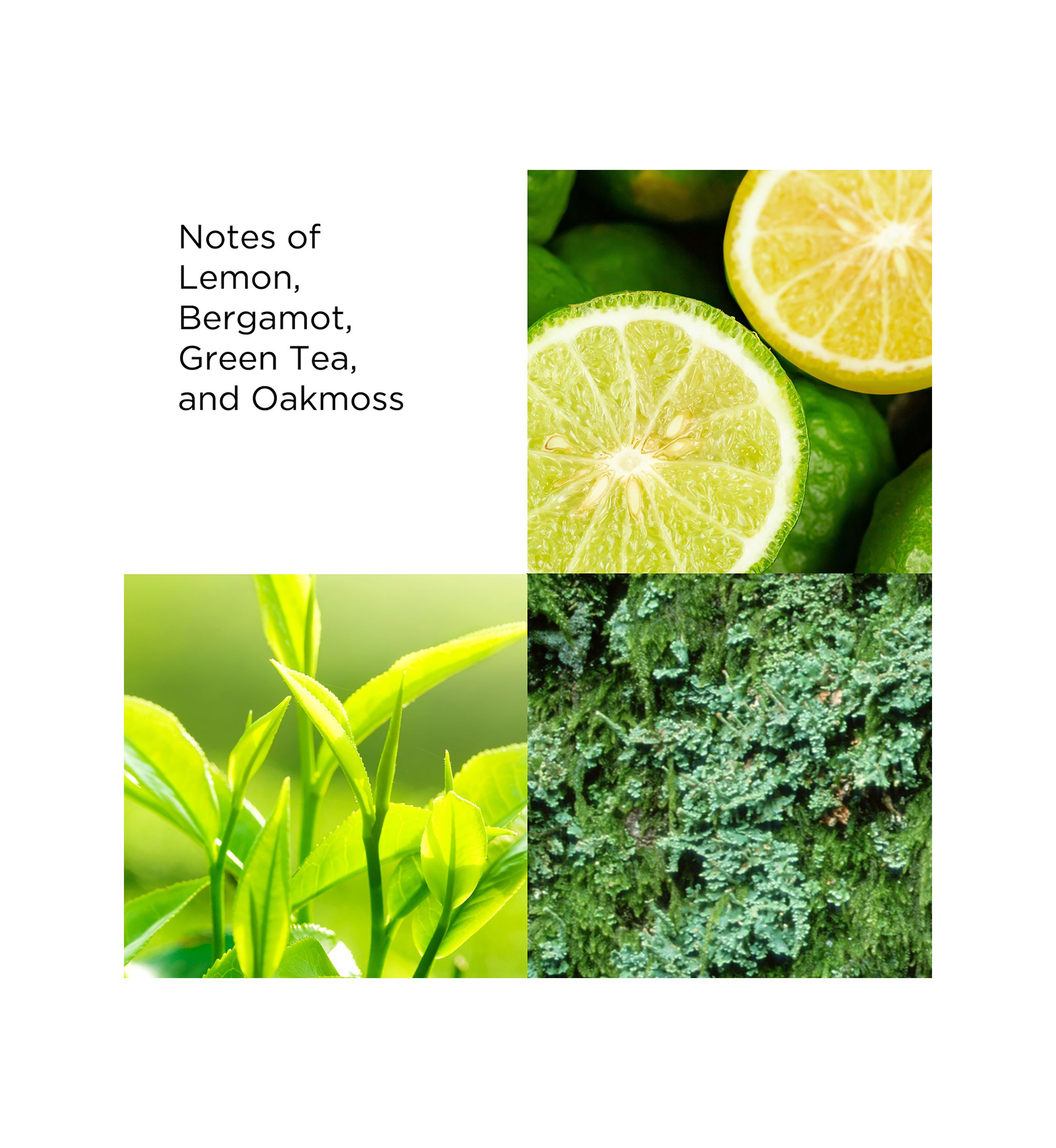   Green Tea Scent Spray 