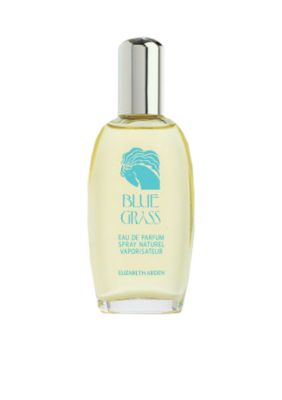 Elizabeth Arden Women's Blue Grass Eau de Parfum Spray, 3.4 Ounces