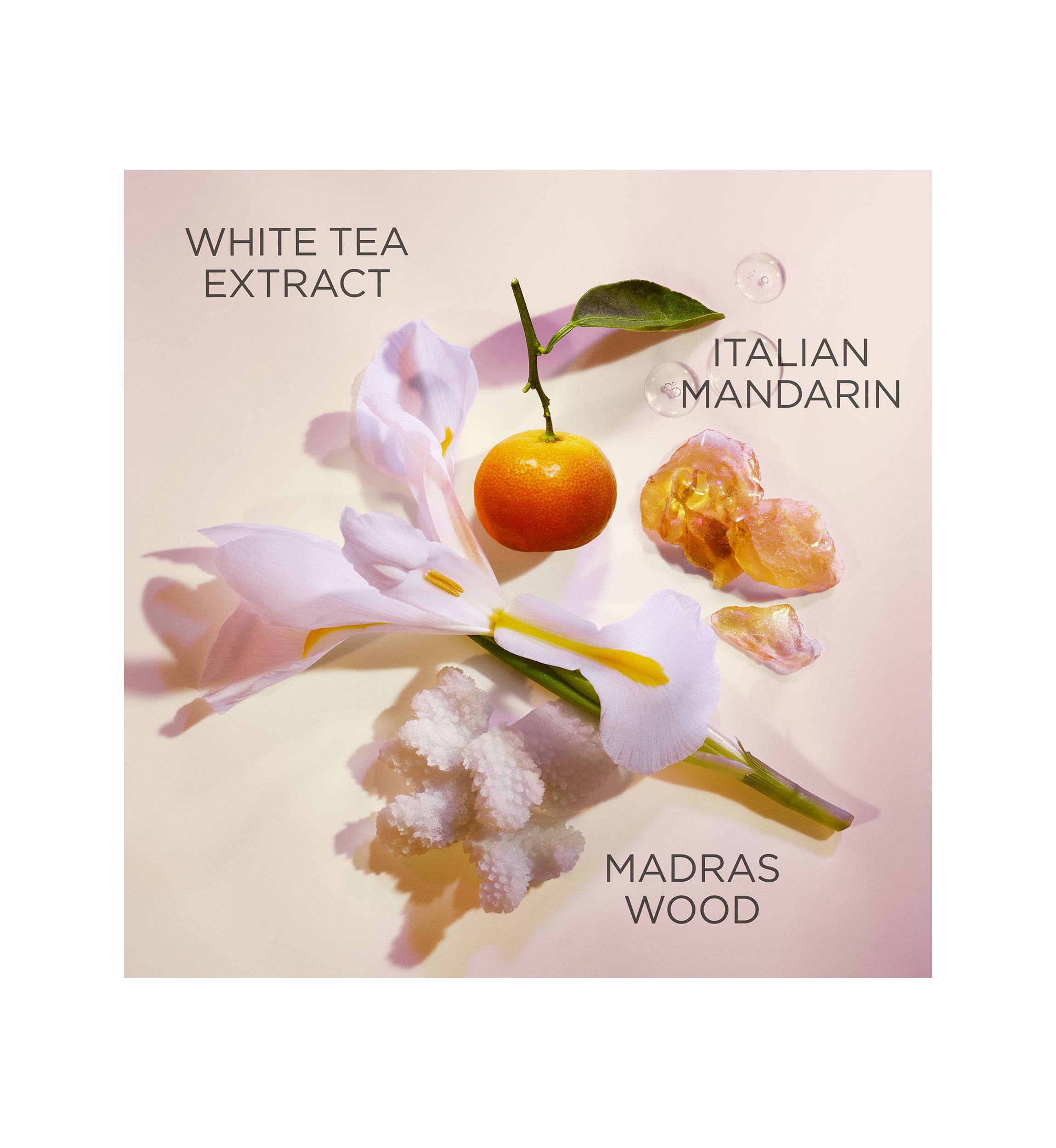 White Tea Hand Cream