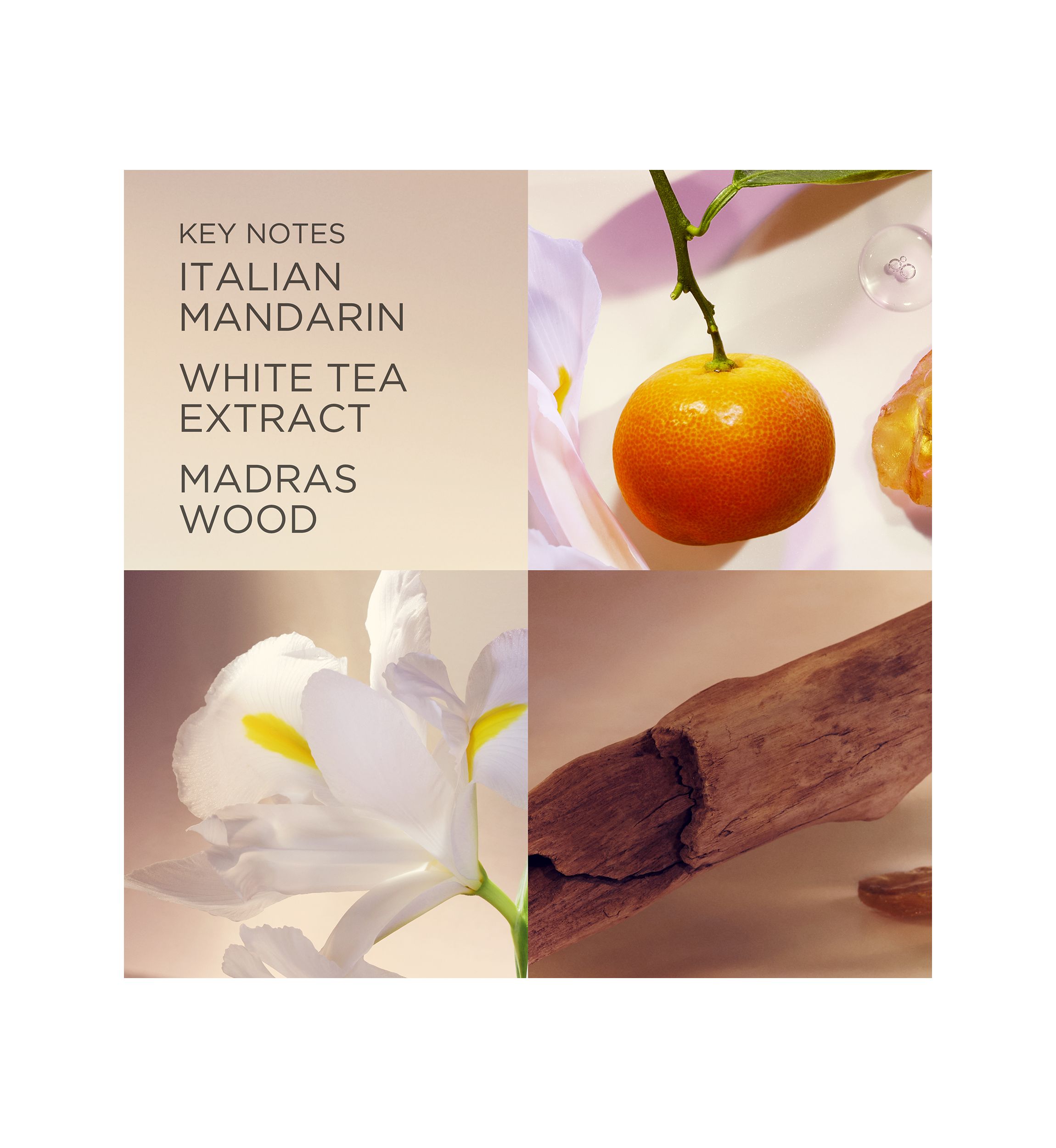 White Tea Hand Cream