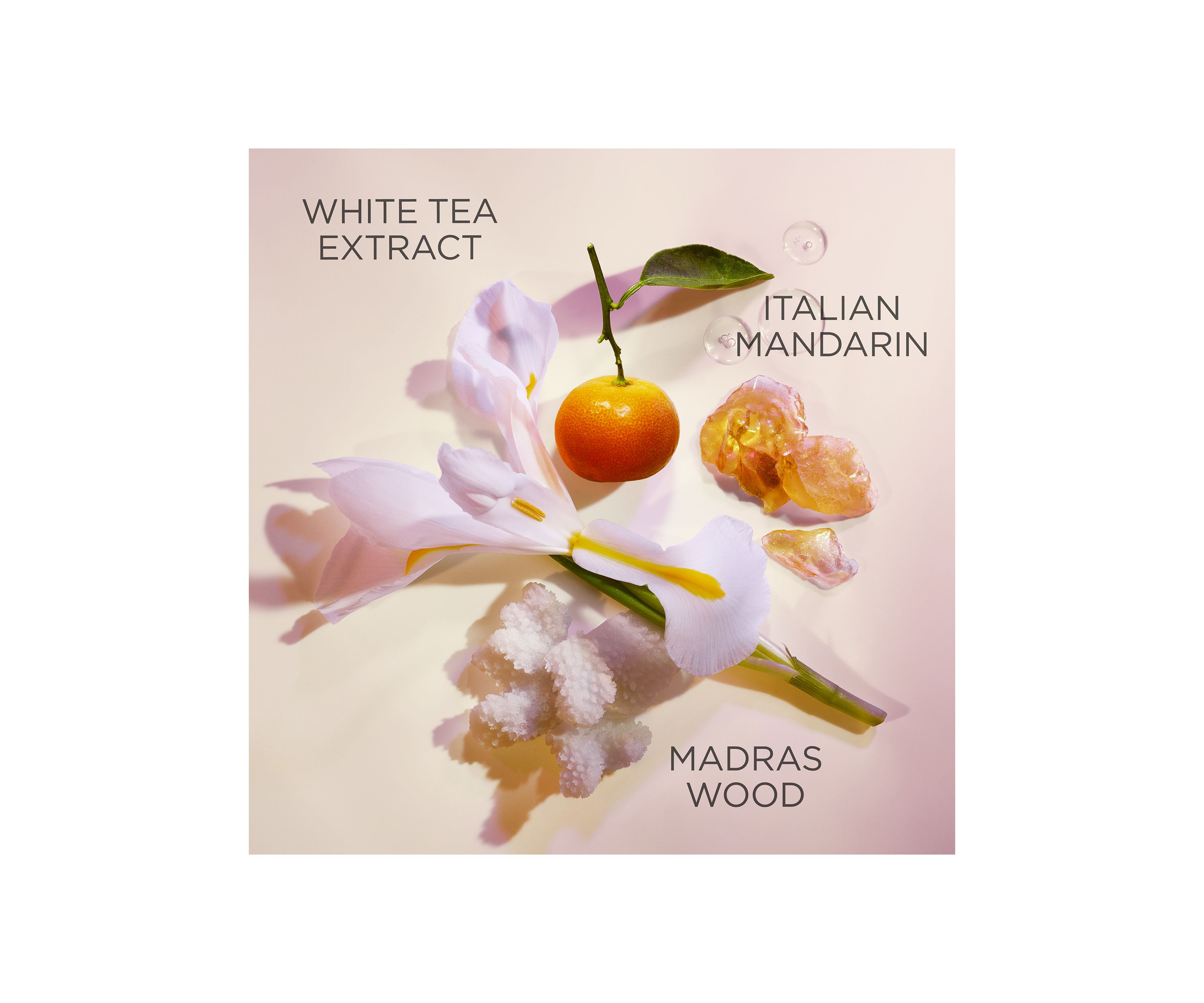 White Tea Deodorant