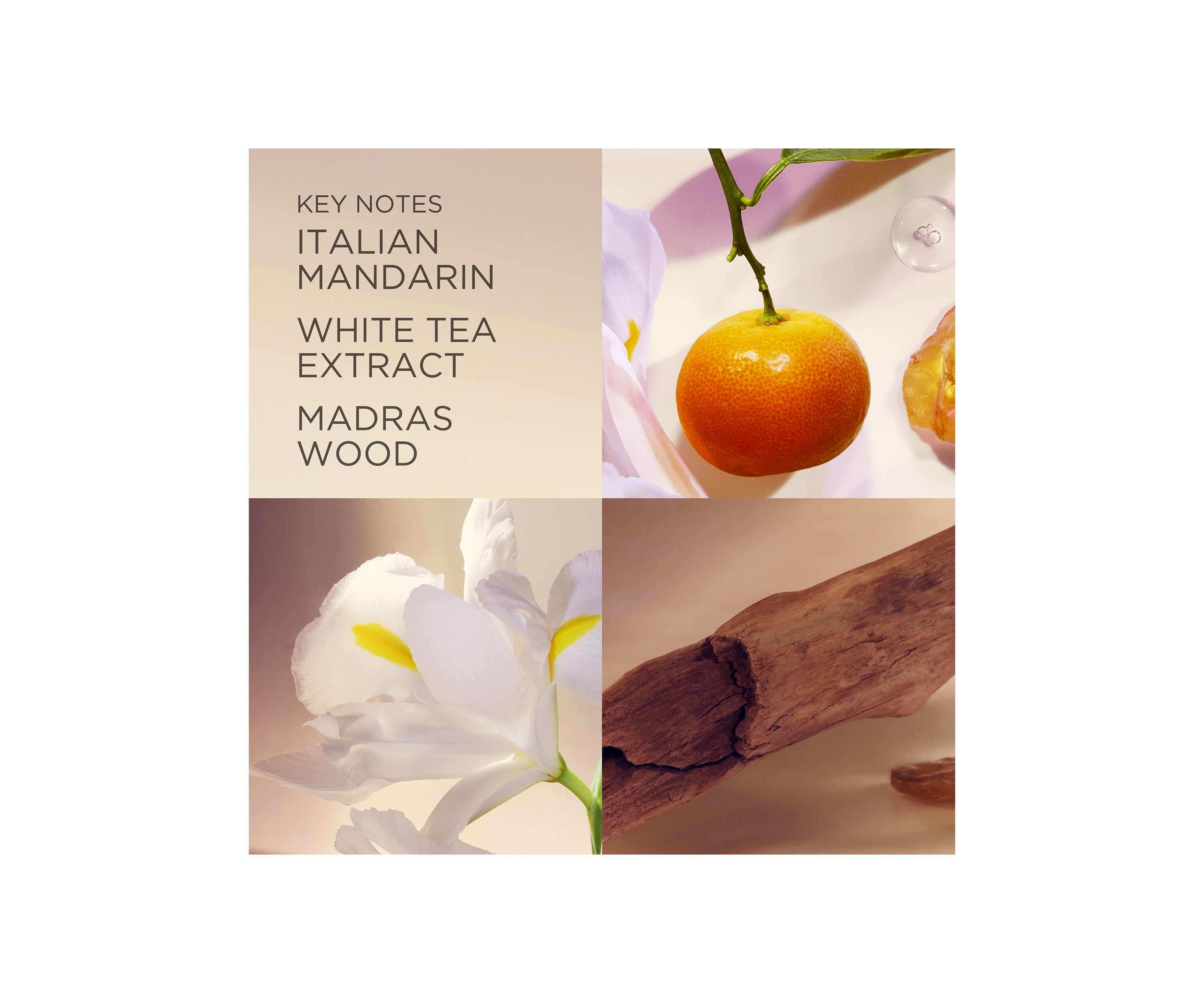White Tea Deodorant
