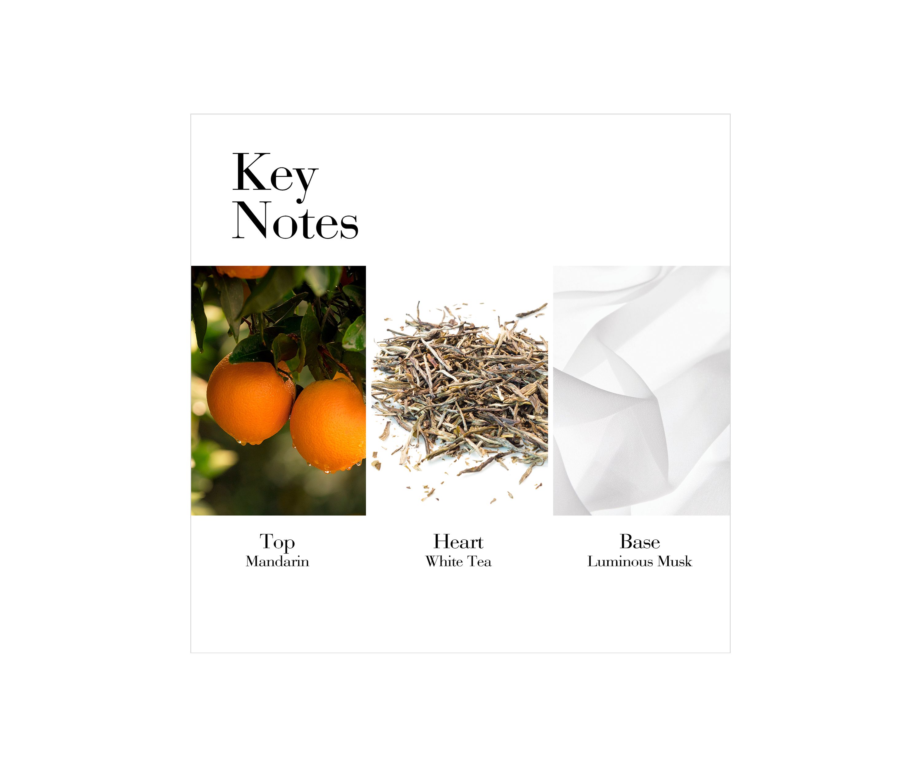  White Tea Mandarin Blossom Eau de Toilette Spray