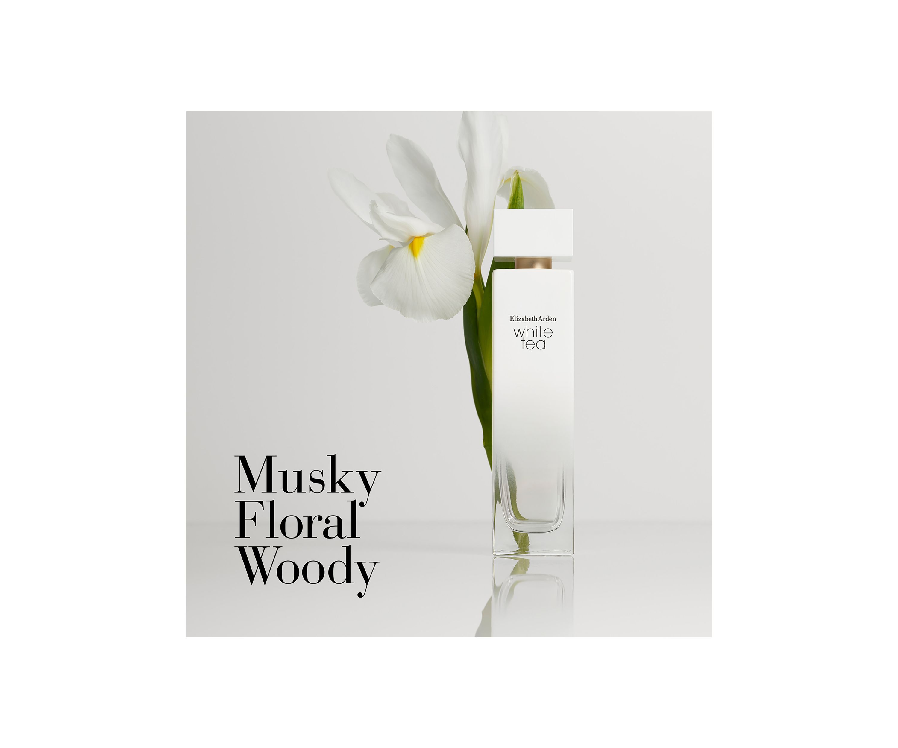 White Tea Fragrance Collection Mini Coffret