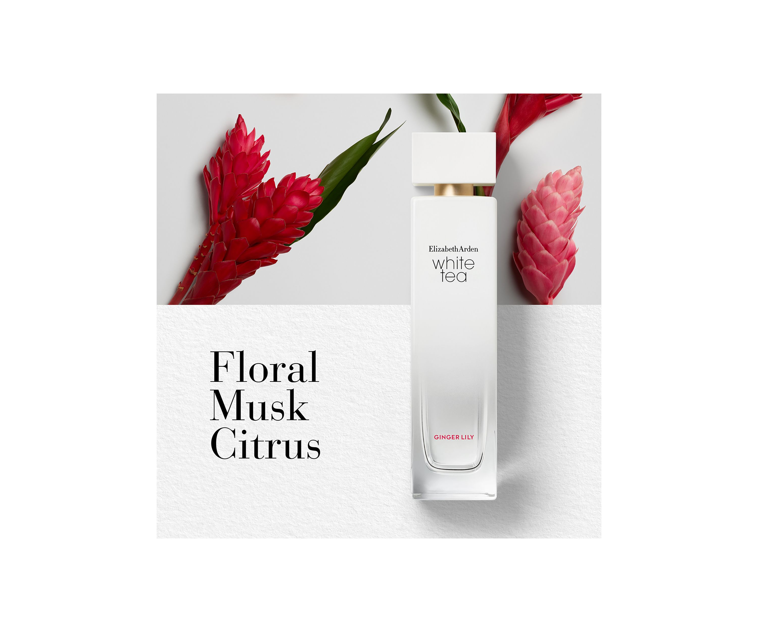 White Tea Fragrance Collection Mini Coffret