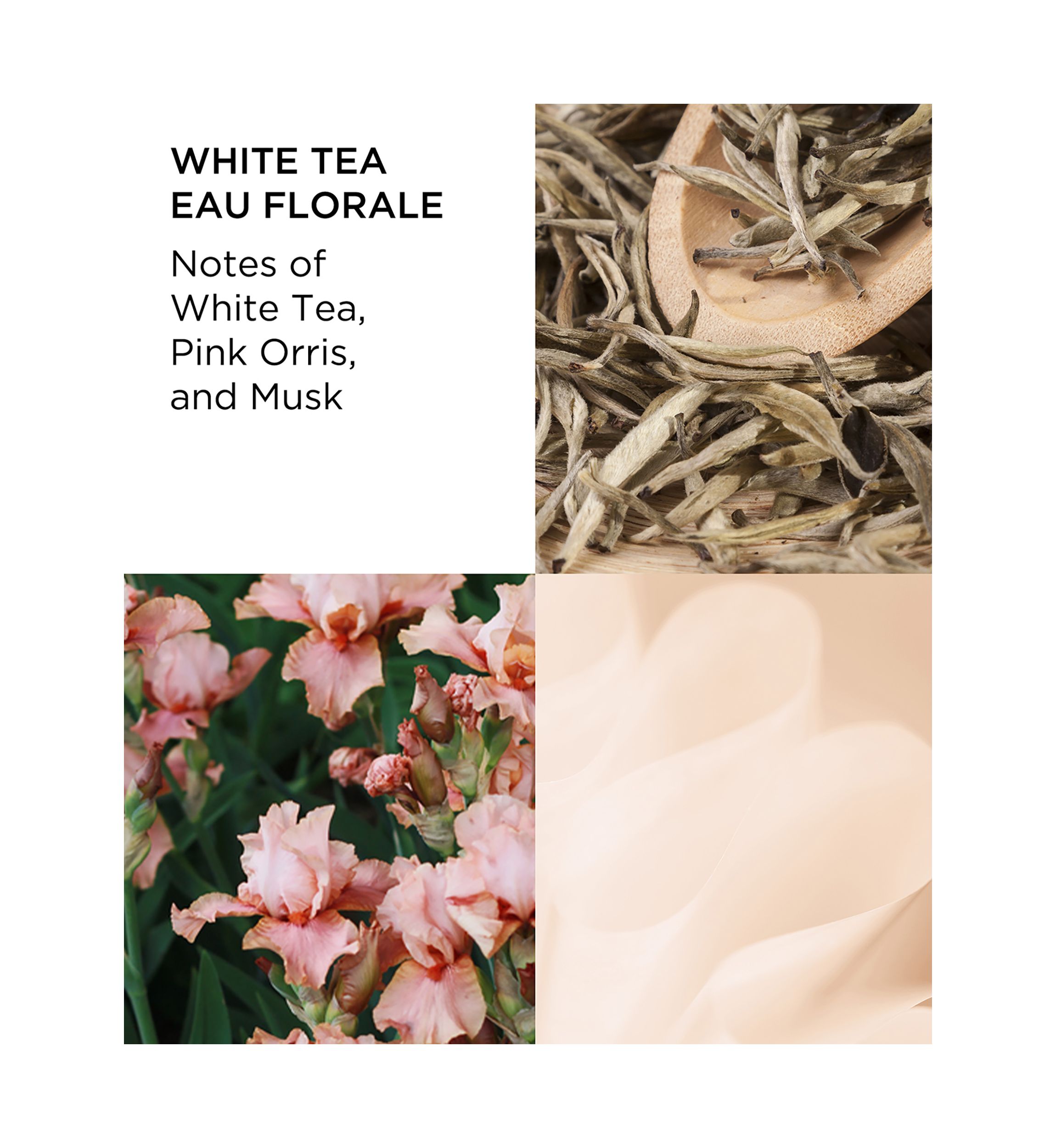 White Tea Eau Florale Eau de Toilette 