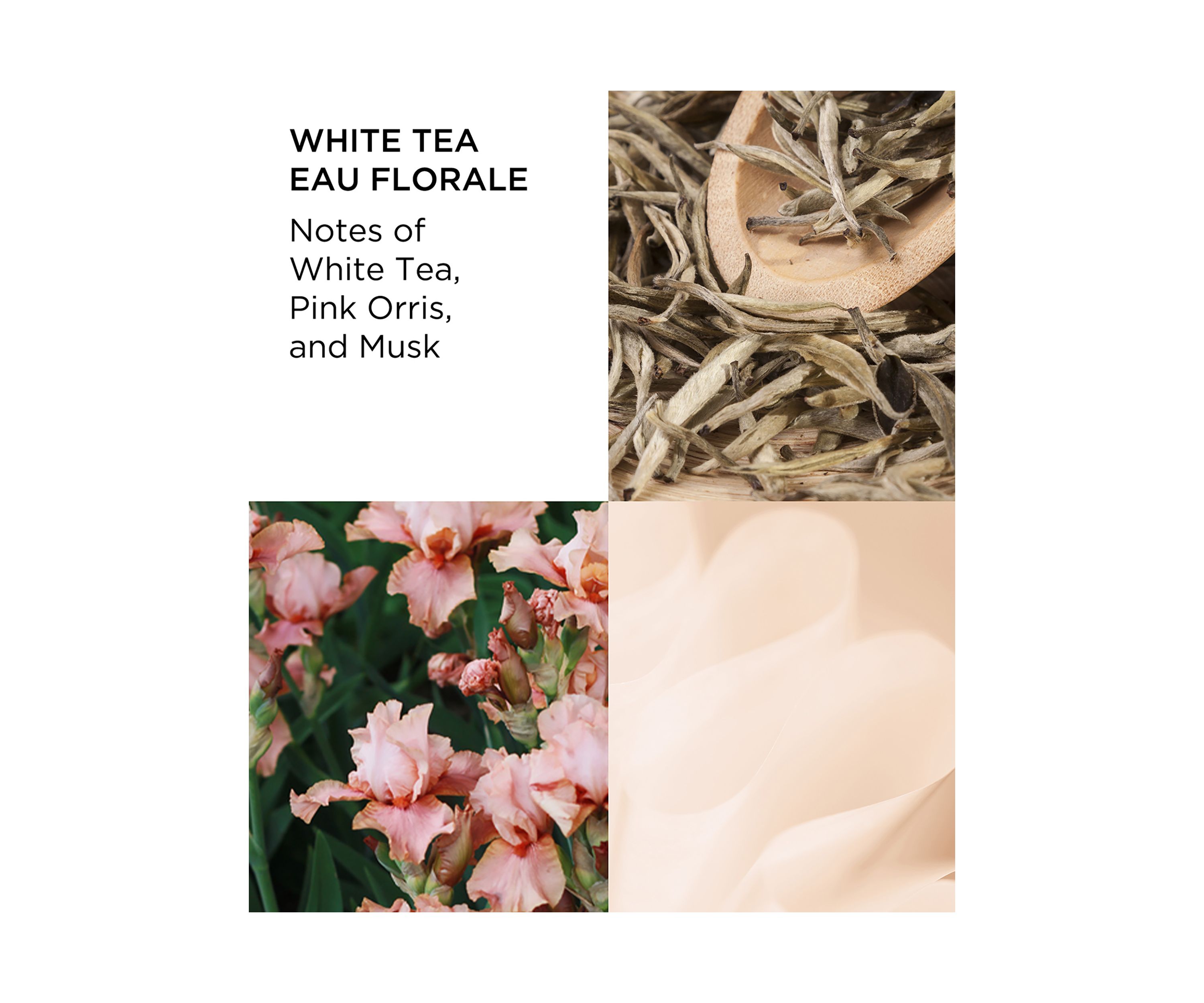 White Tea Eau Florale Eau de Toilette 