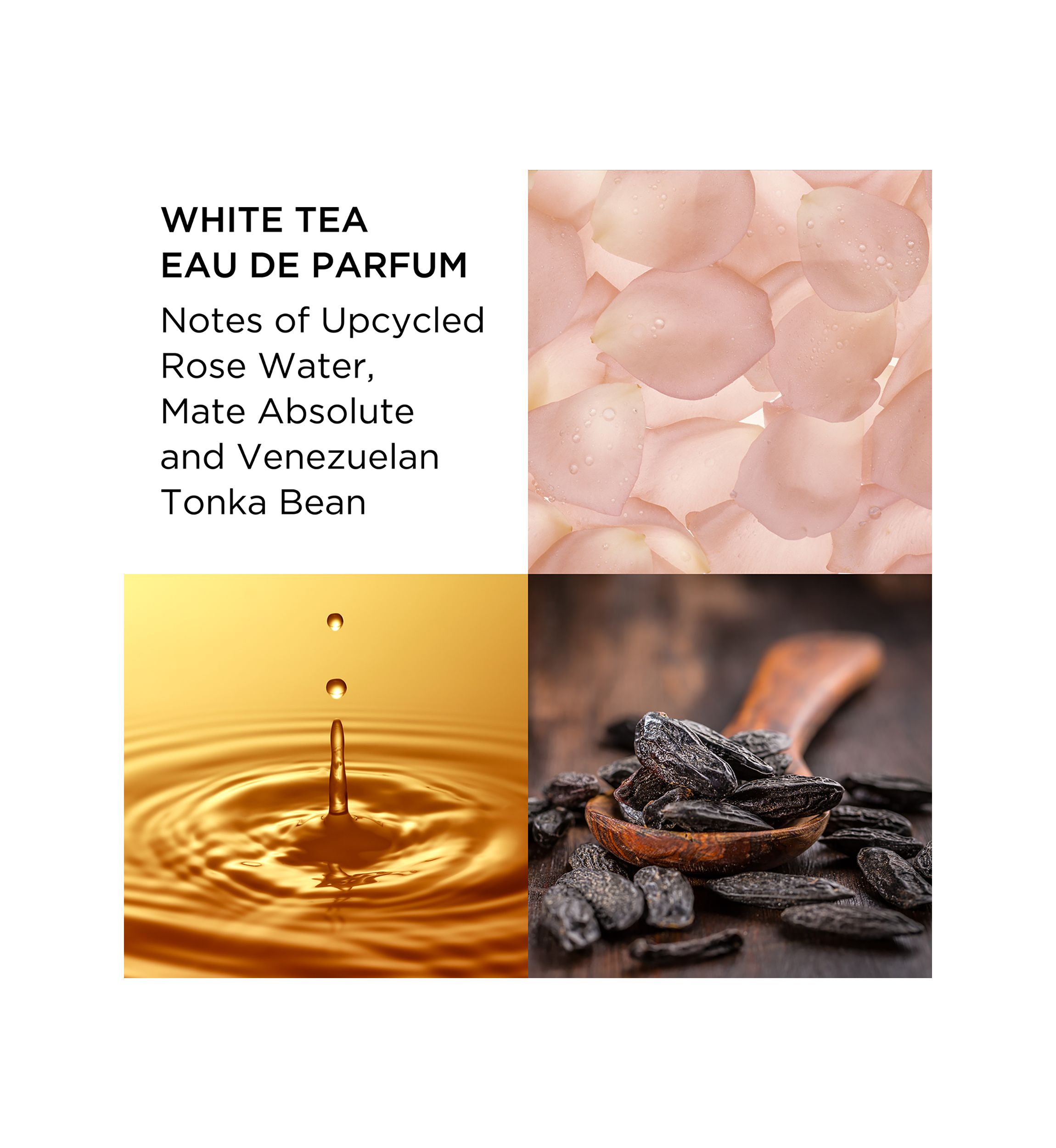 White Tea Eau de Parfum 2 Piece Fragrance Gift Set -  $88 Value!