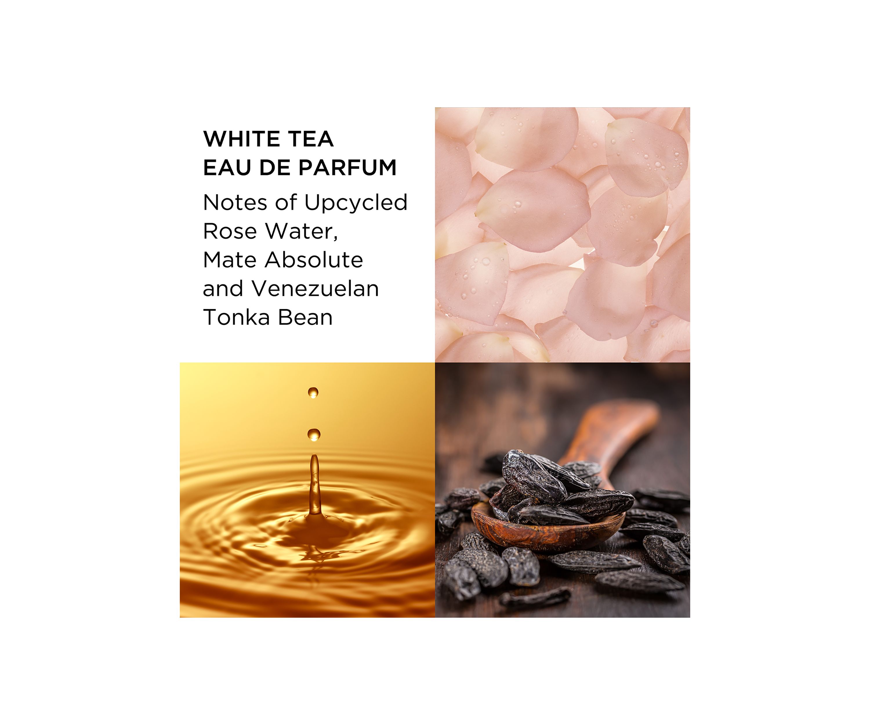 White Tea Eau de Parfum 2 Piece Fragrance Gift Set -  $88 Value!