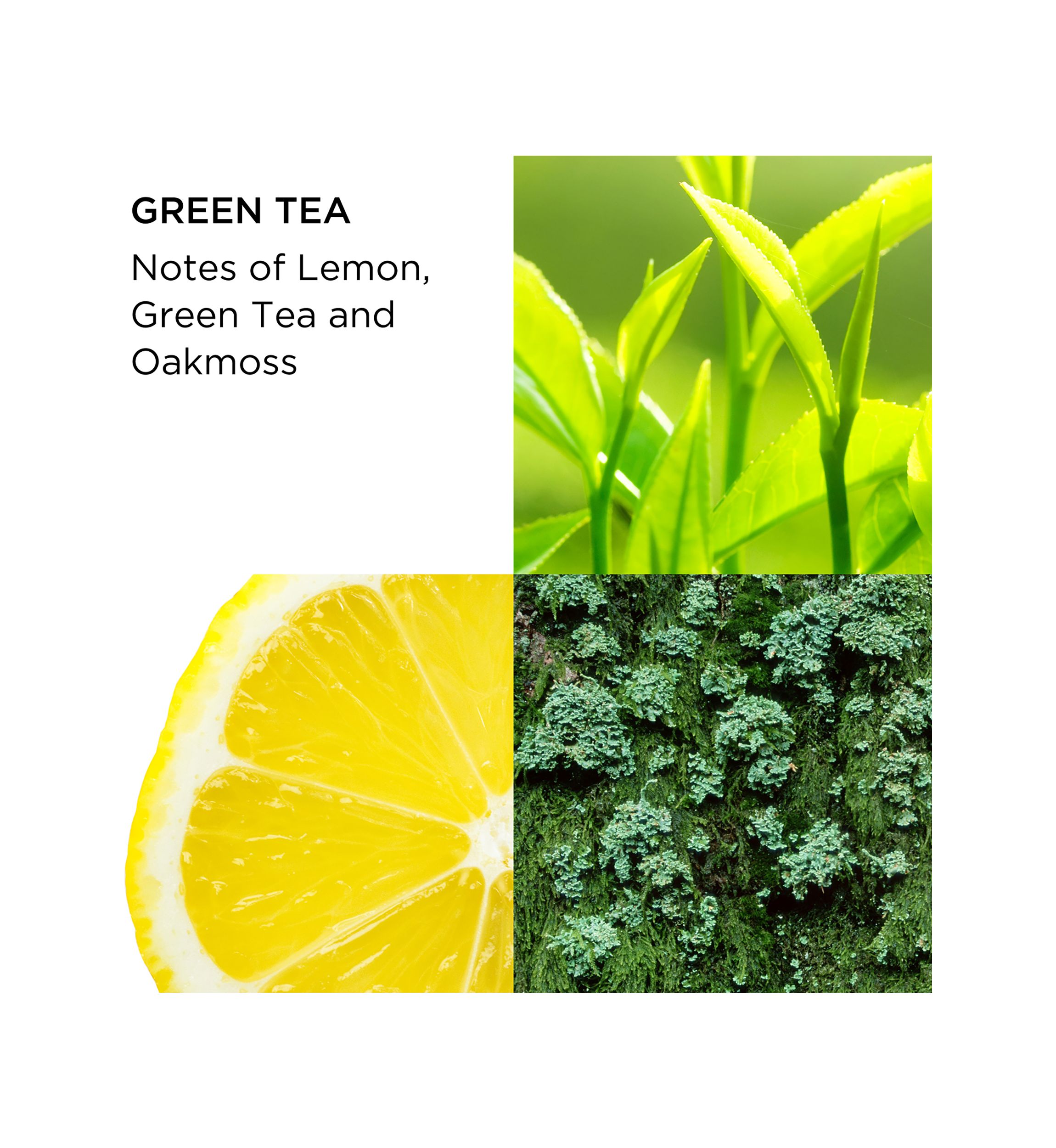 Green Tea 2-Piece Fragrance Gift Set For Women - $60 Value!