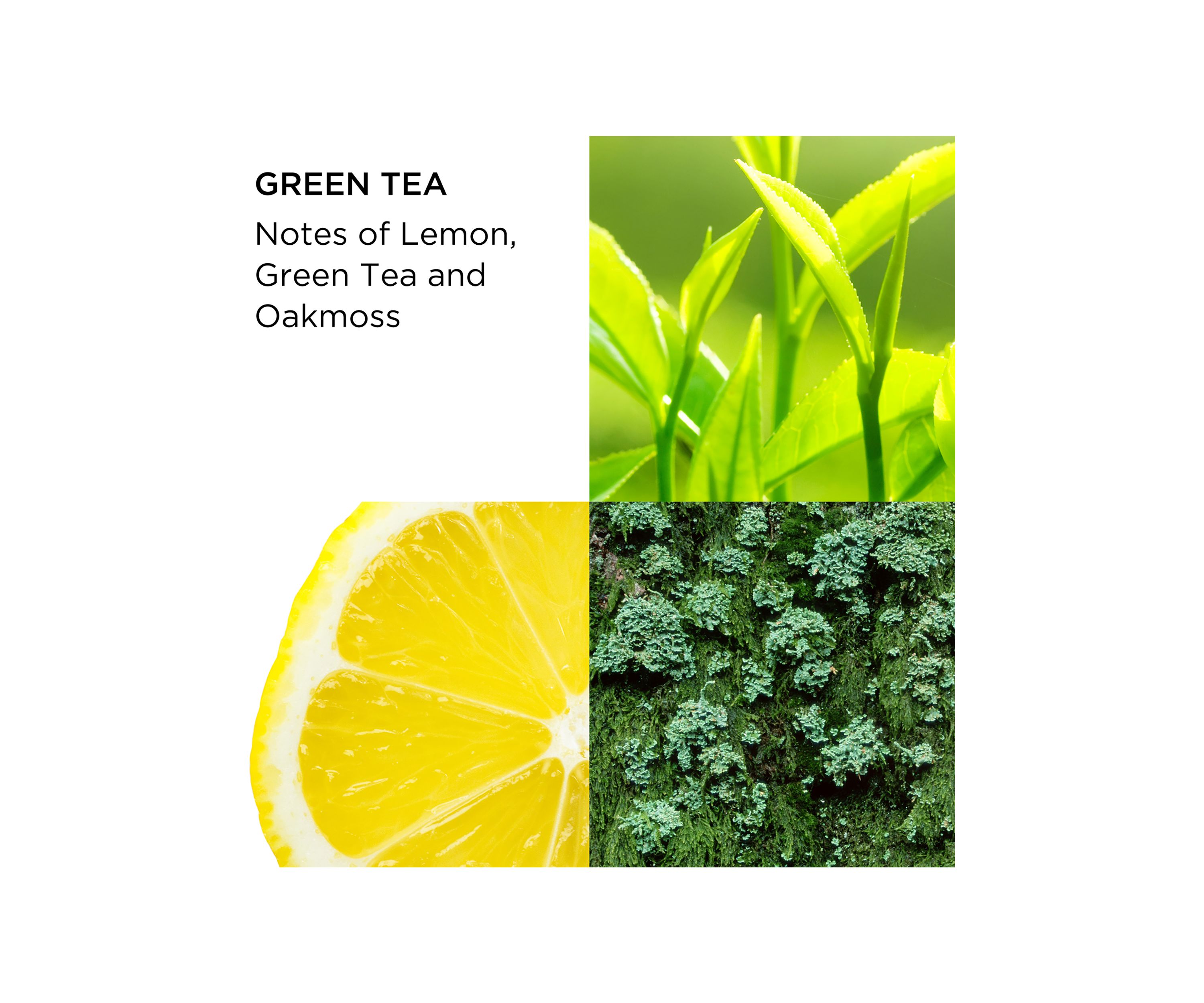 Green Tea 2-Piece Fragrance Gift Set For Women