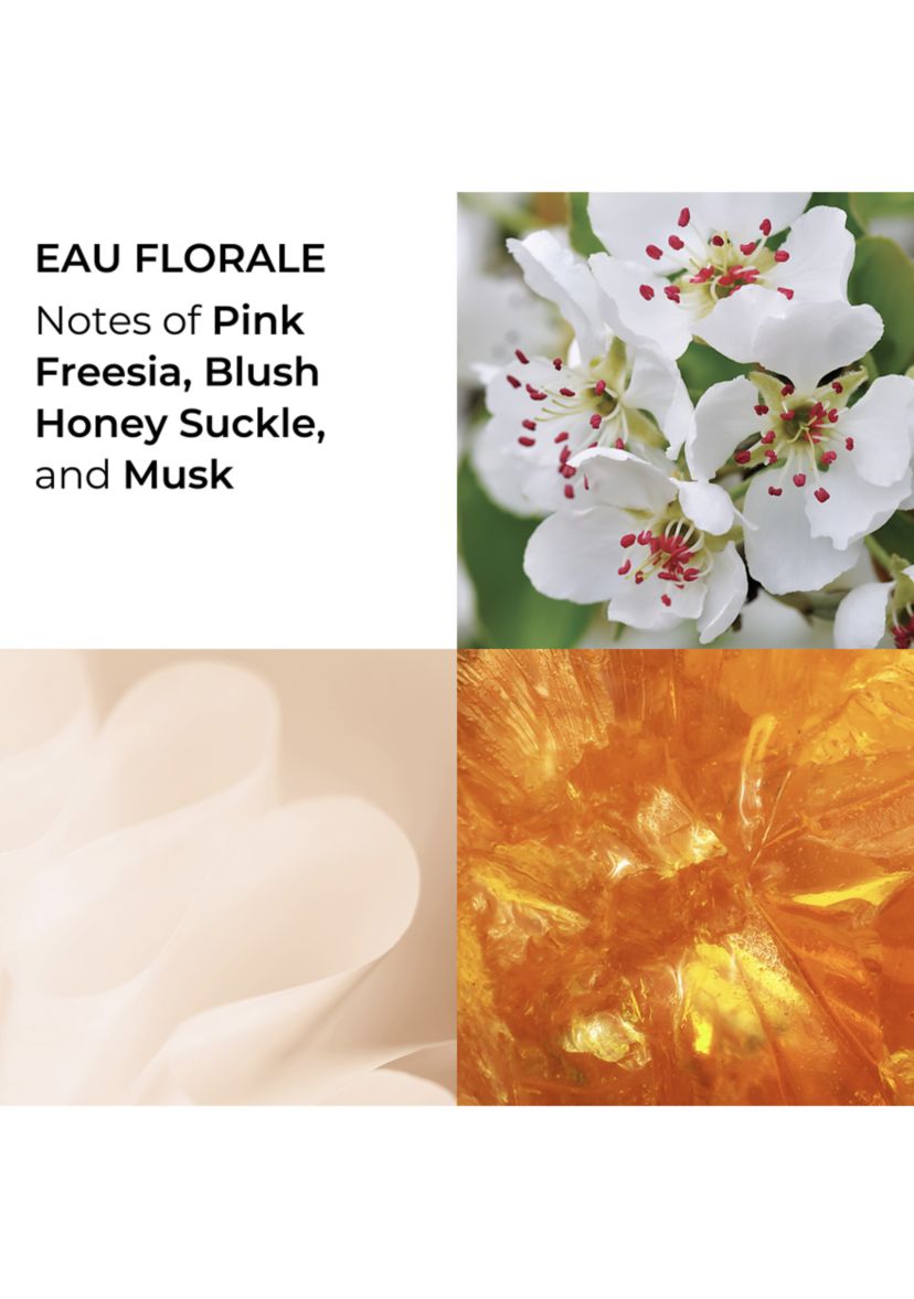 White Tea Fragrance Collection Mini Coffret - $42 value!