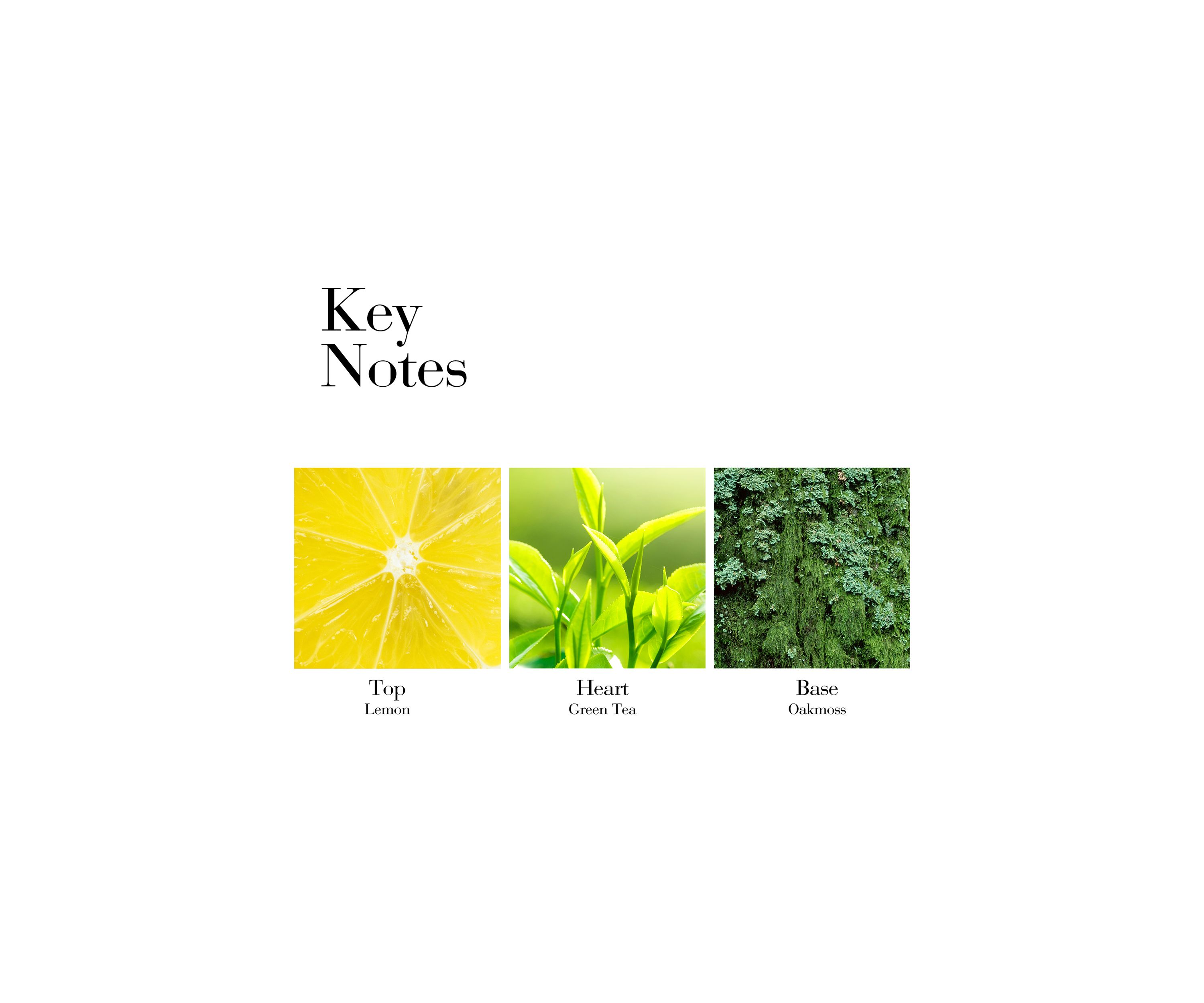 Green Tea Honey Drops Body Cream