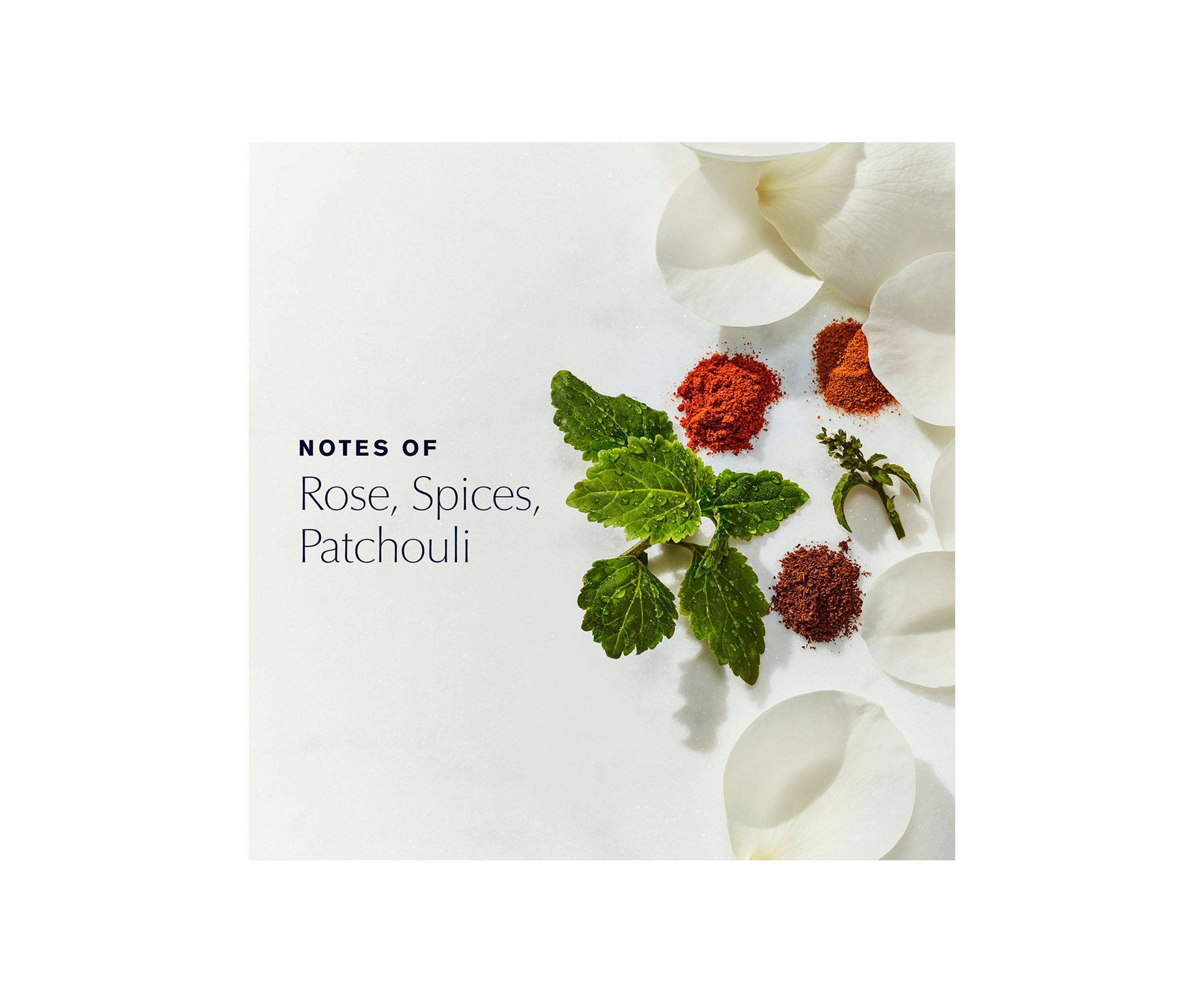 Youth-Dew Hydrating Body Lotion Satinée