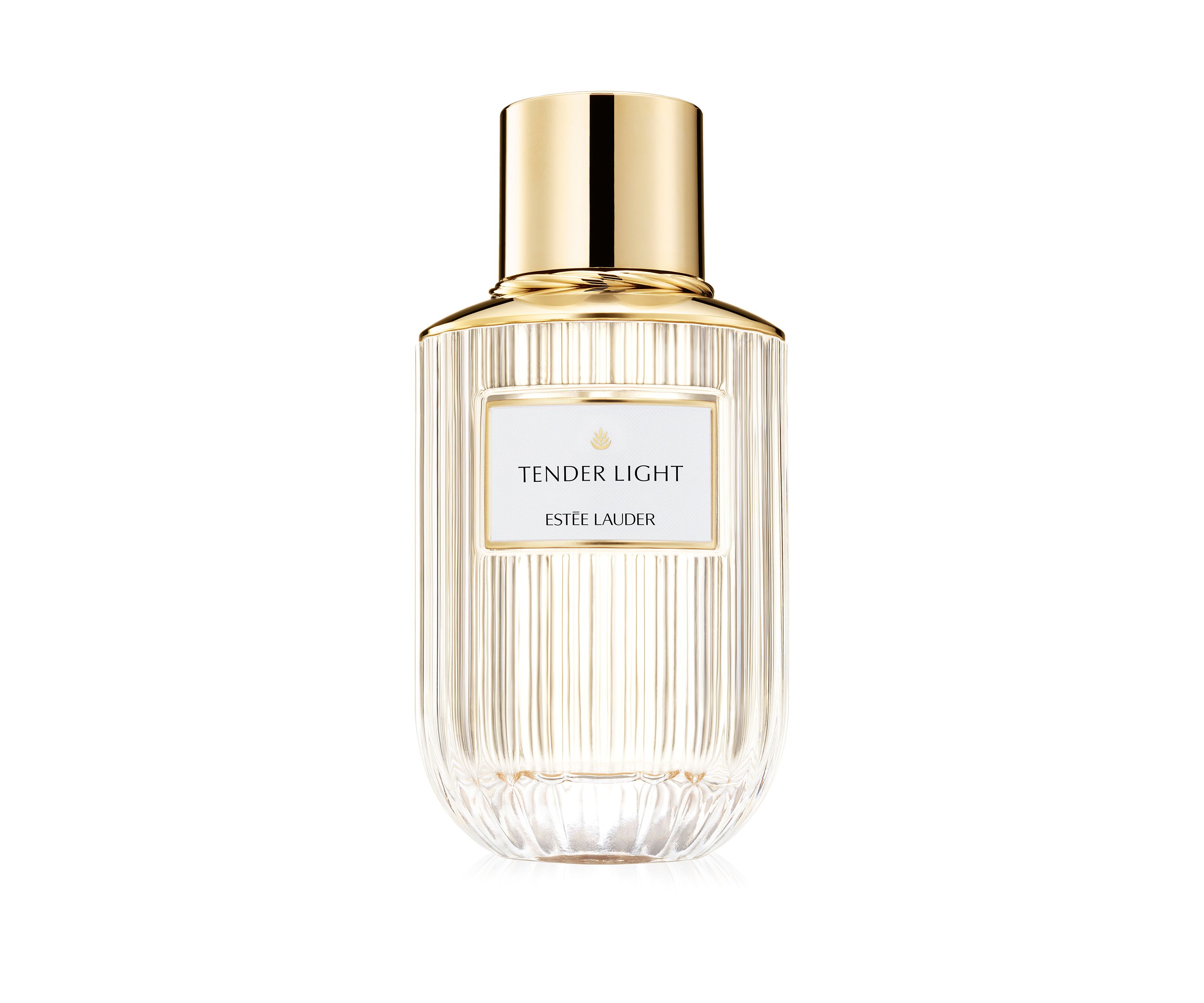 Tender Light Eau de Parfum Spray