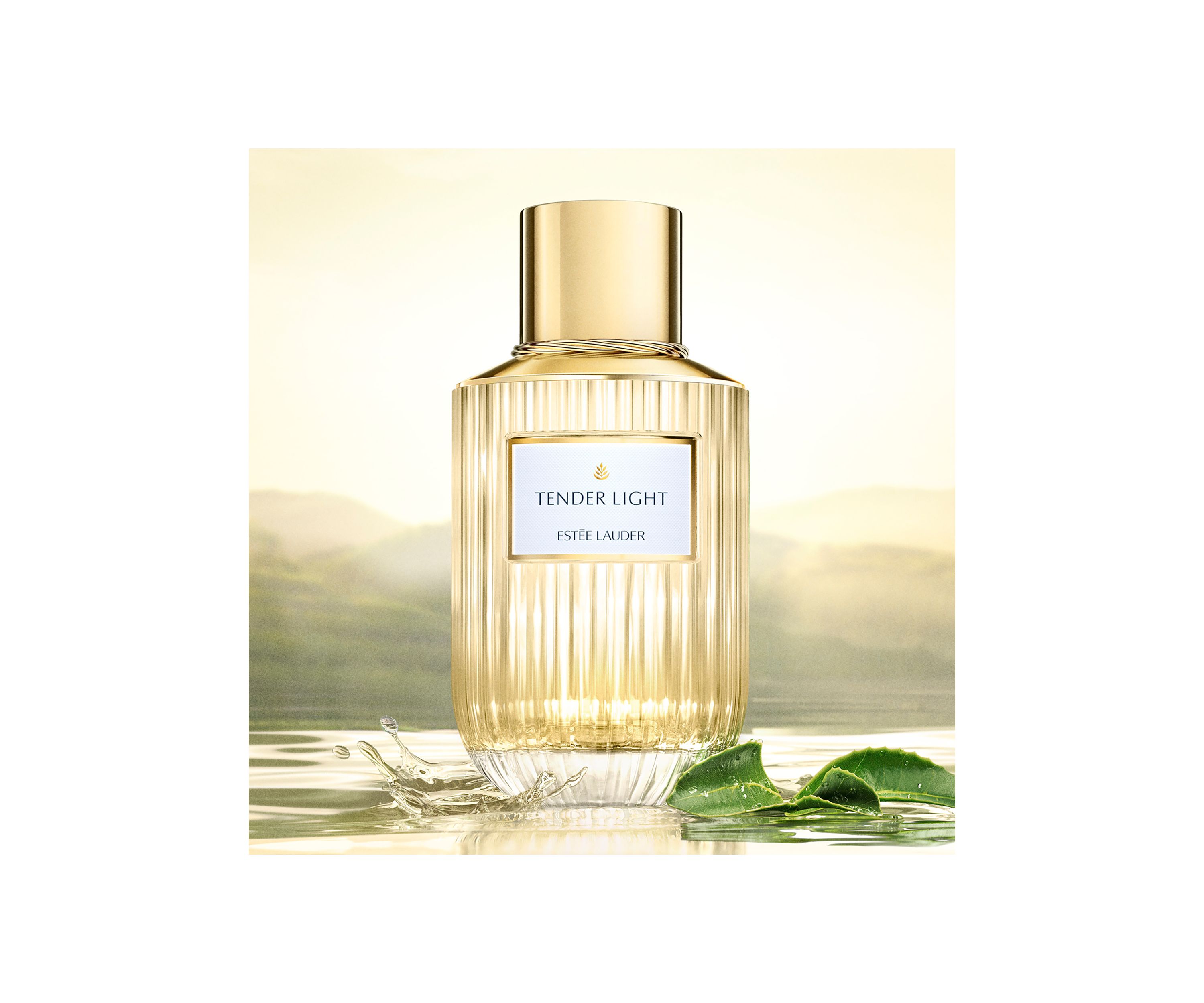 Tender Light Eau de Parfum Spray