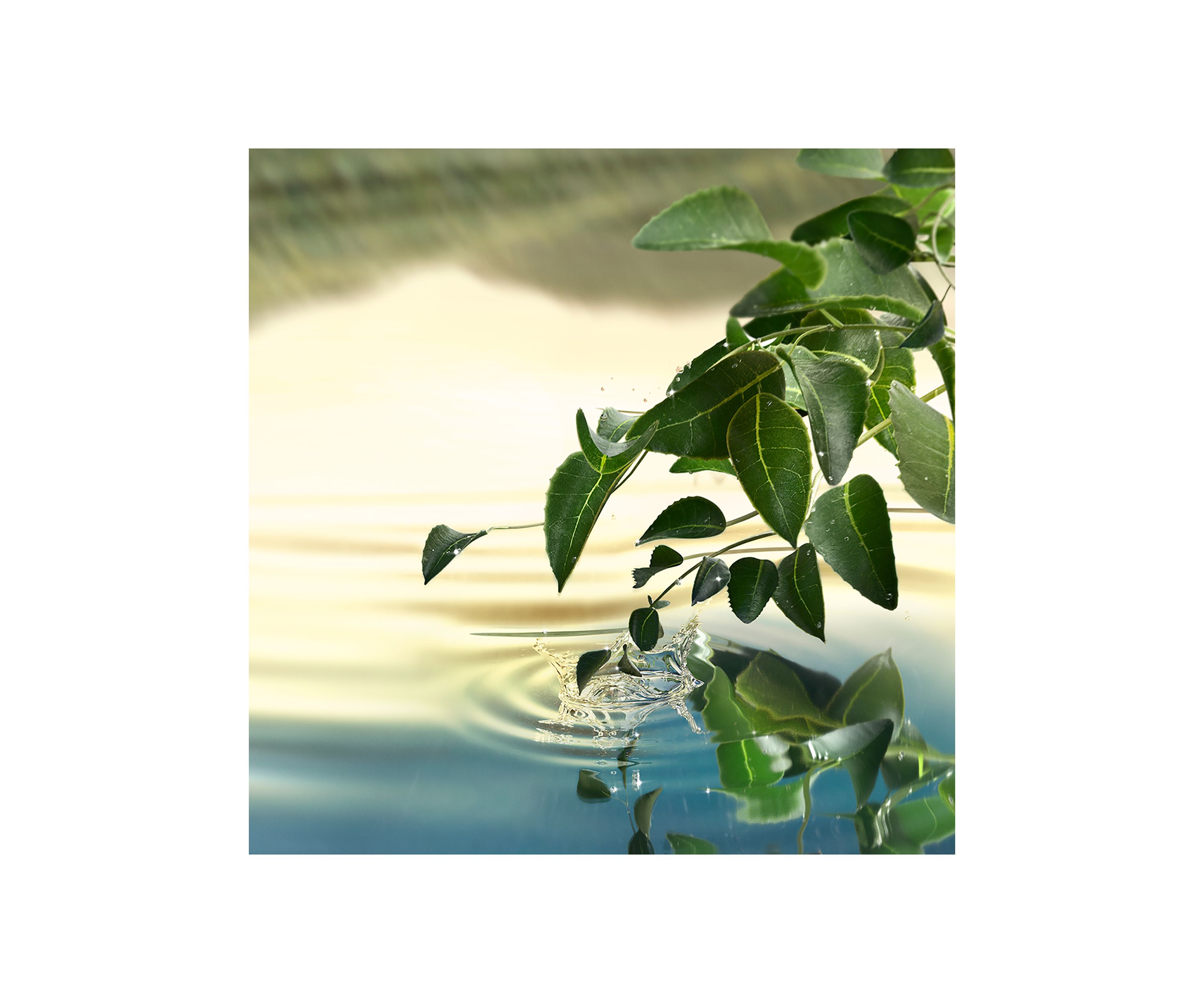 Tender Light Eau de Parfum Spray
