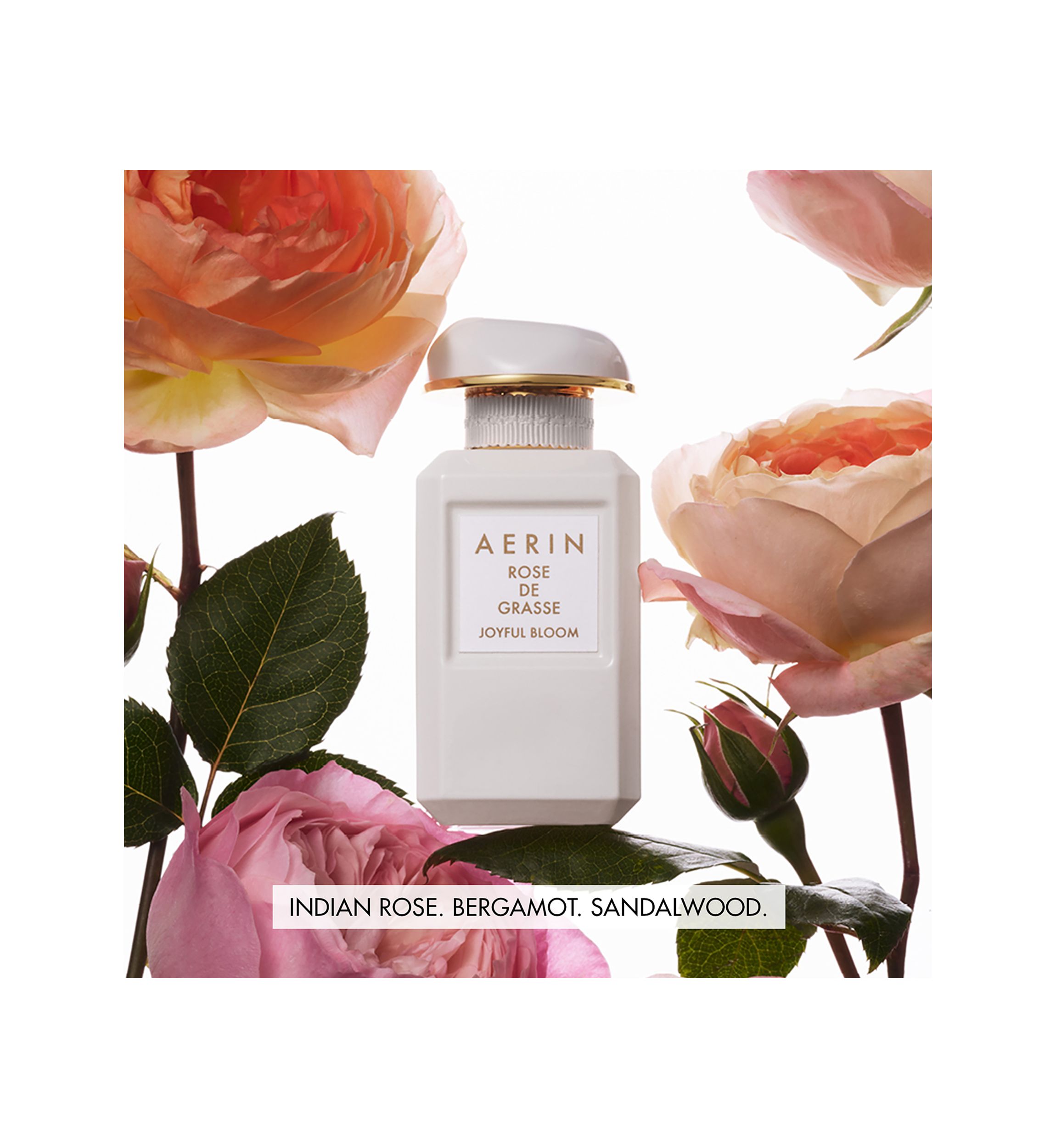 AERIN Rose de Grasse Joyful Bloom Eau de Parfum 