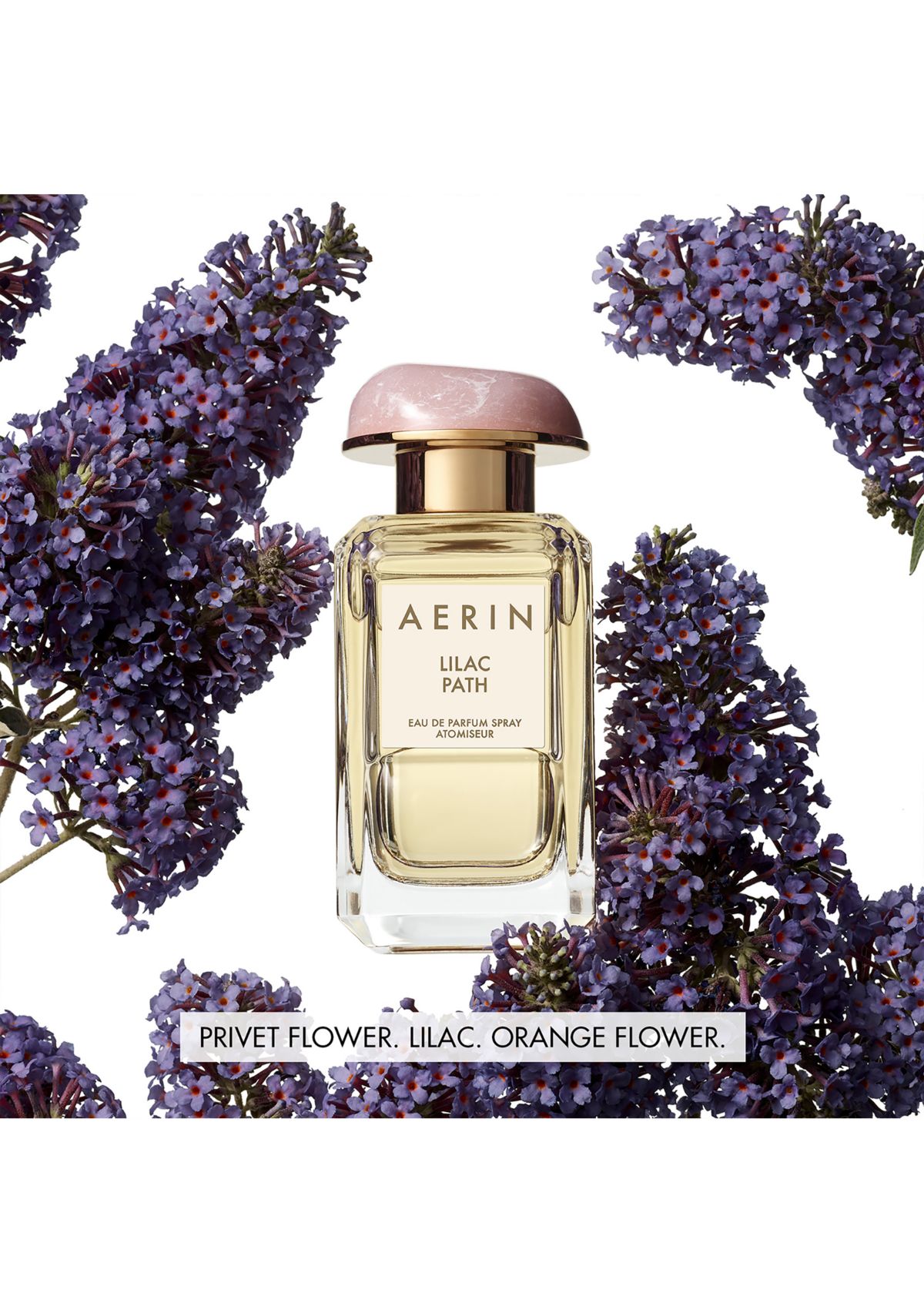  AERIN Lilac Path Eau de Parfum 