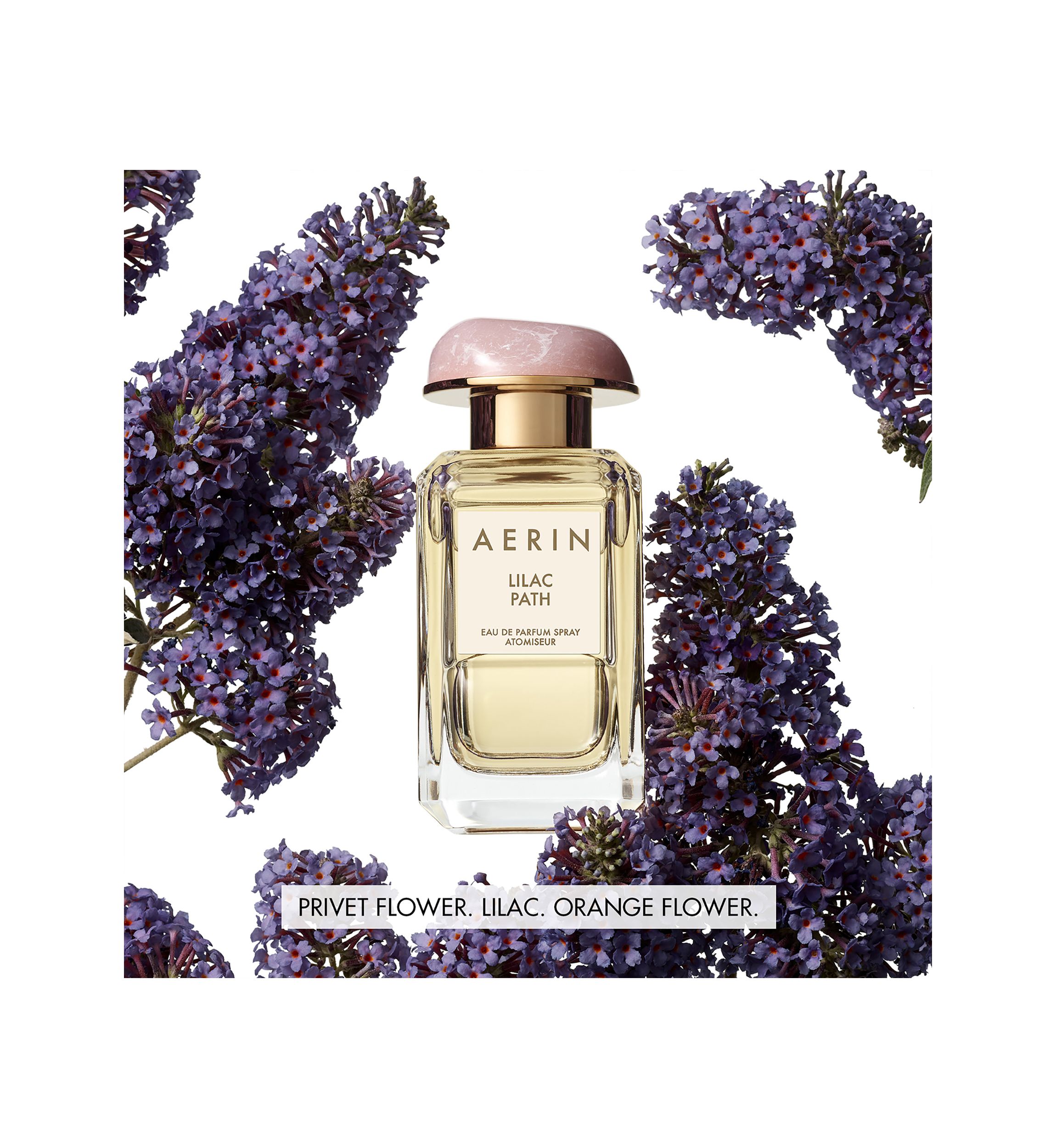  AERIN Lilac Path Eau de Parfum 
