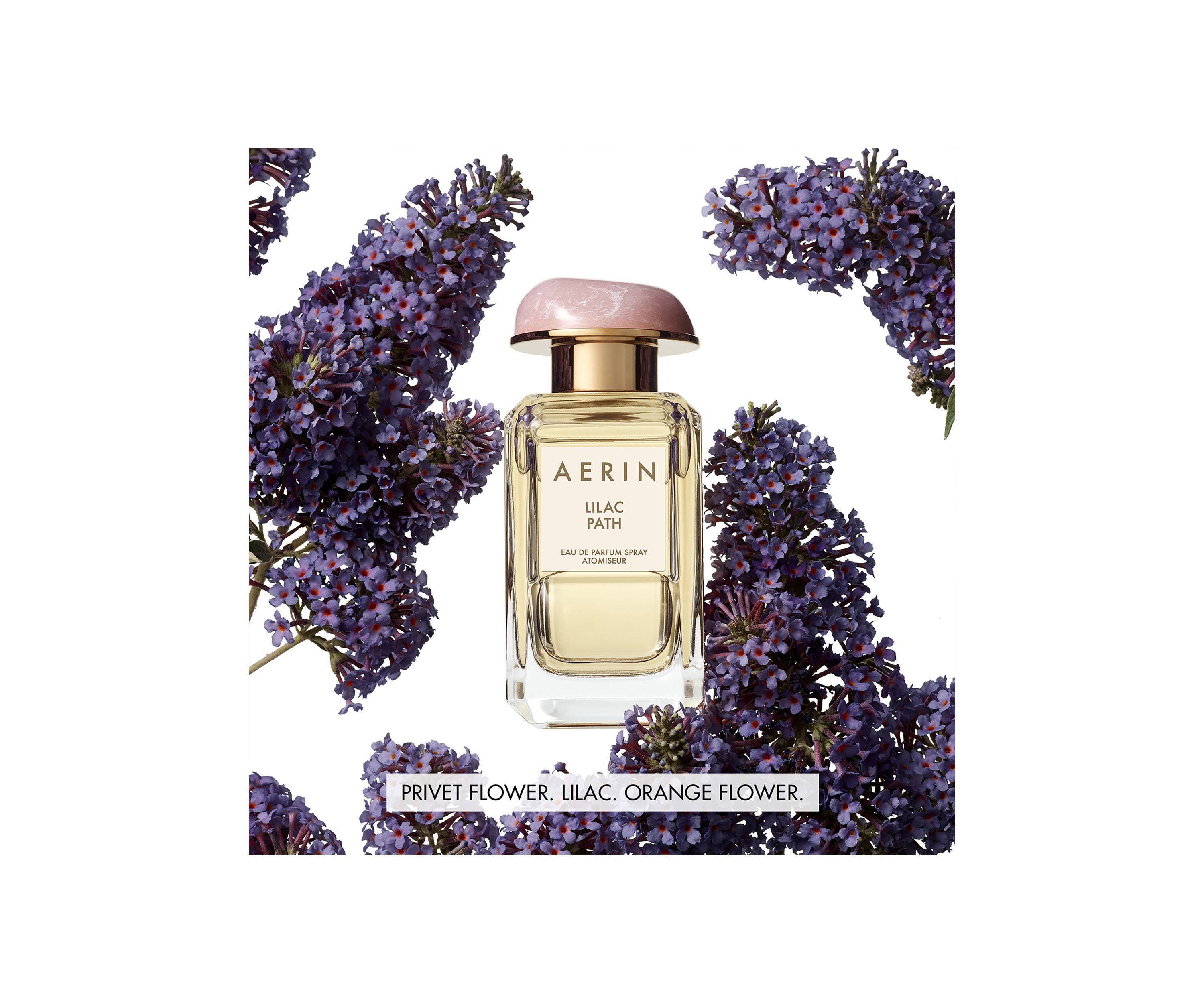  AERIN Lilac Path Eau de Parfum 