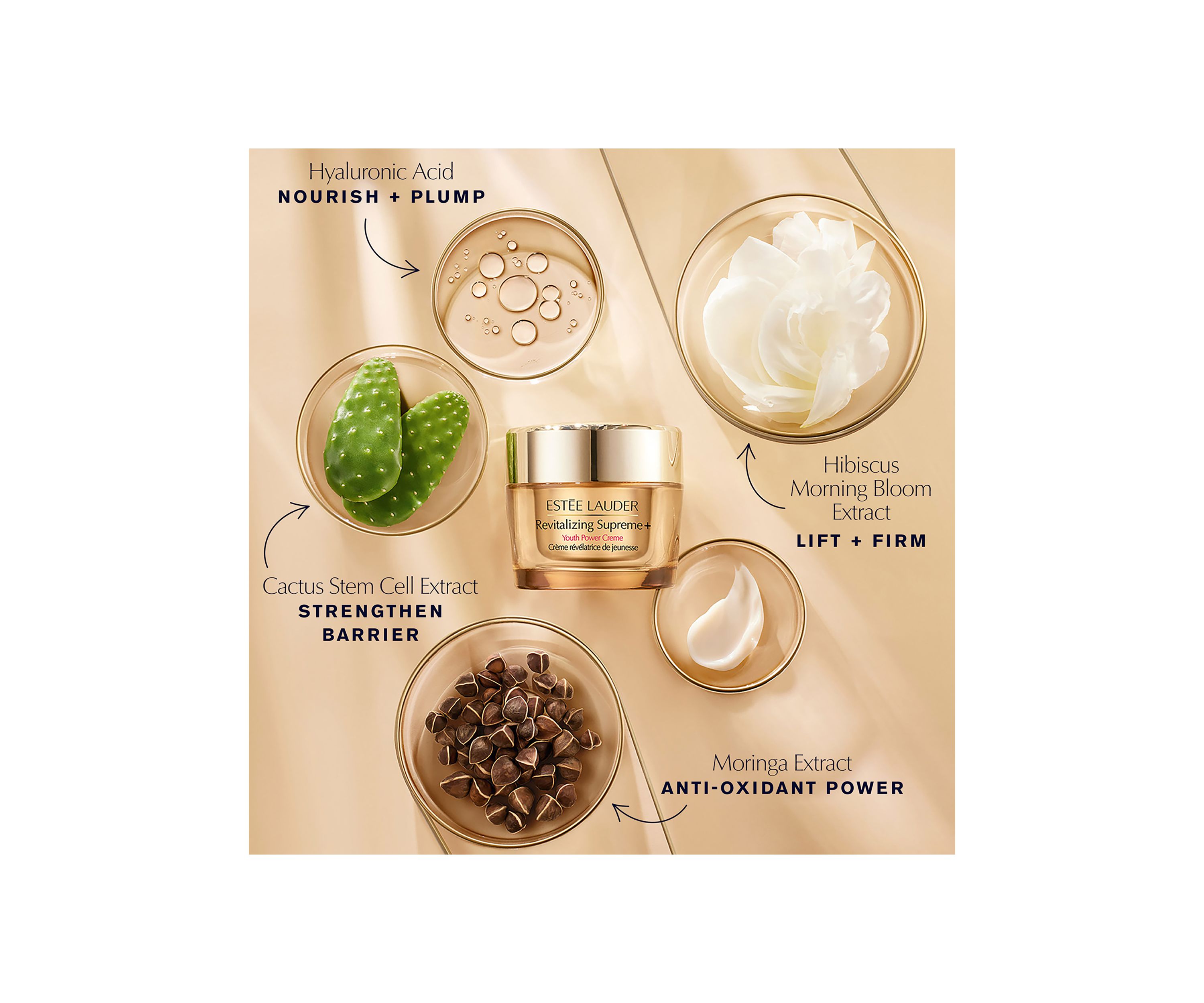   Revitalizing Supreme+ Youth Power Creme Moisturizer SPF 25 