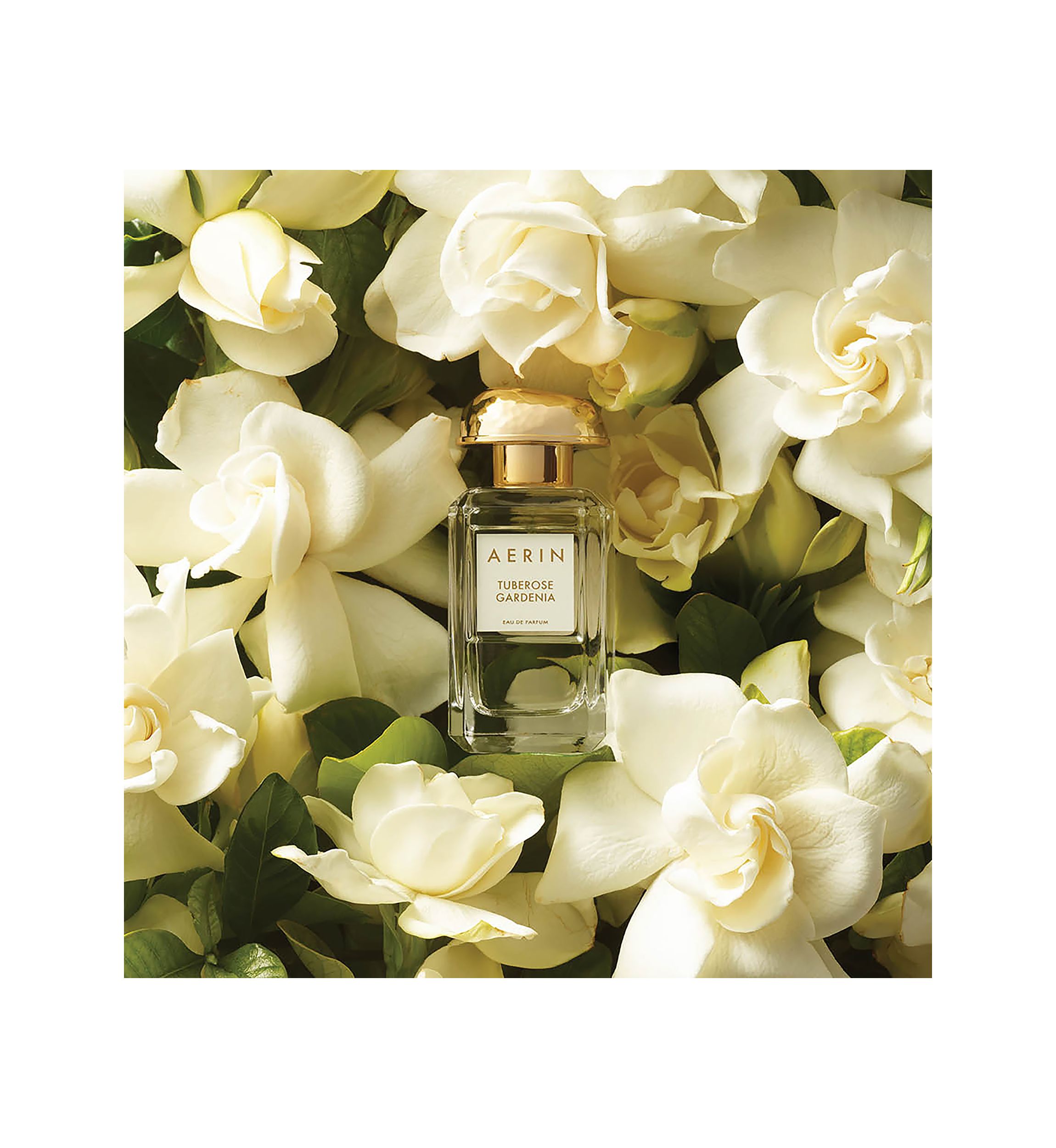   AERIN Tuberose Gardenia Eau de Parfum Spray 