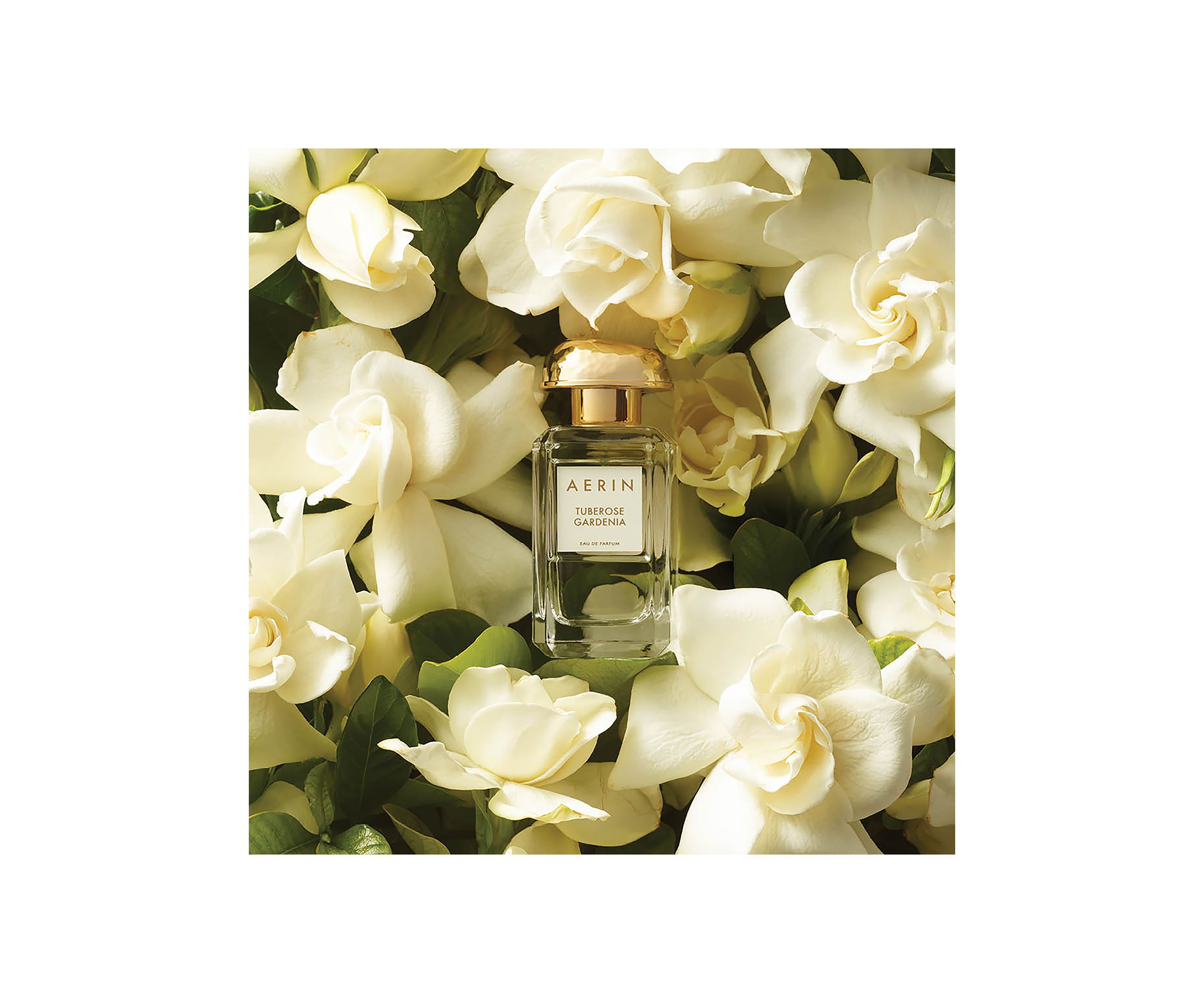   AERIN Tuberose Gardenia Eau de Parfum Spray 