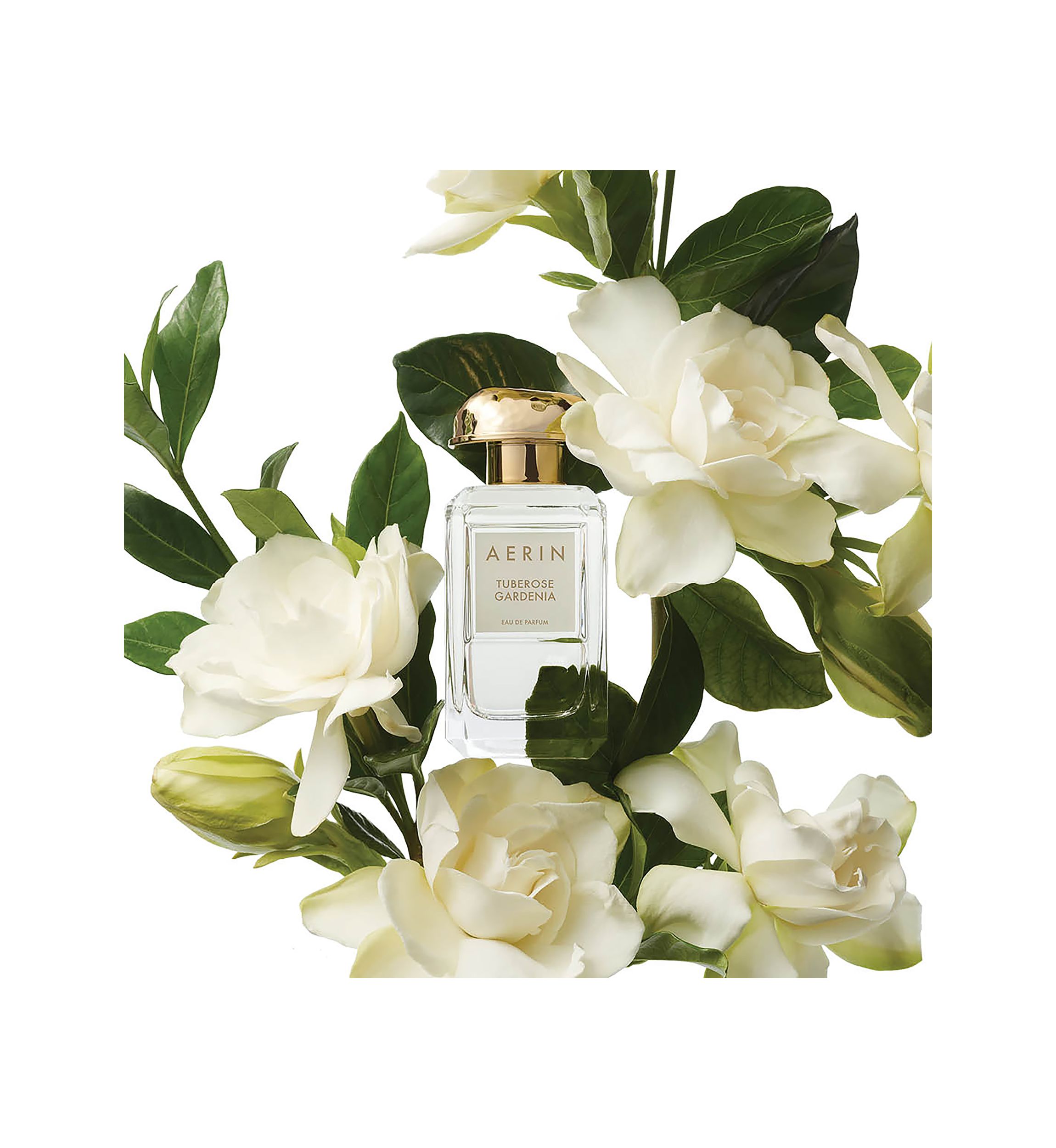   AERIN Tuberose Gardenia Eau de Parfum Spray 
