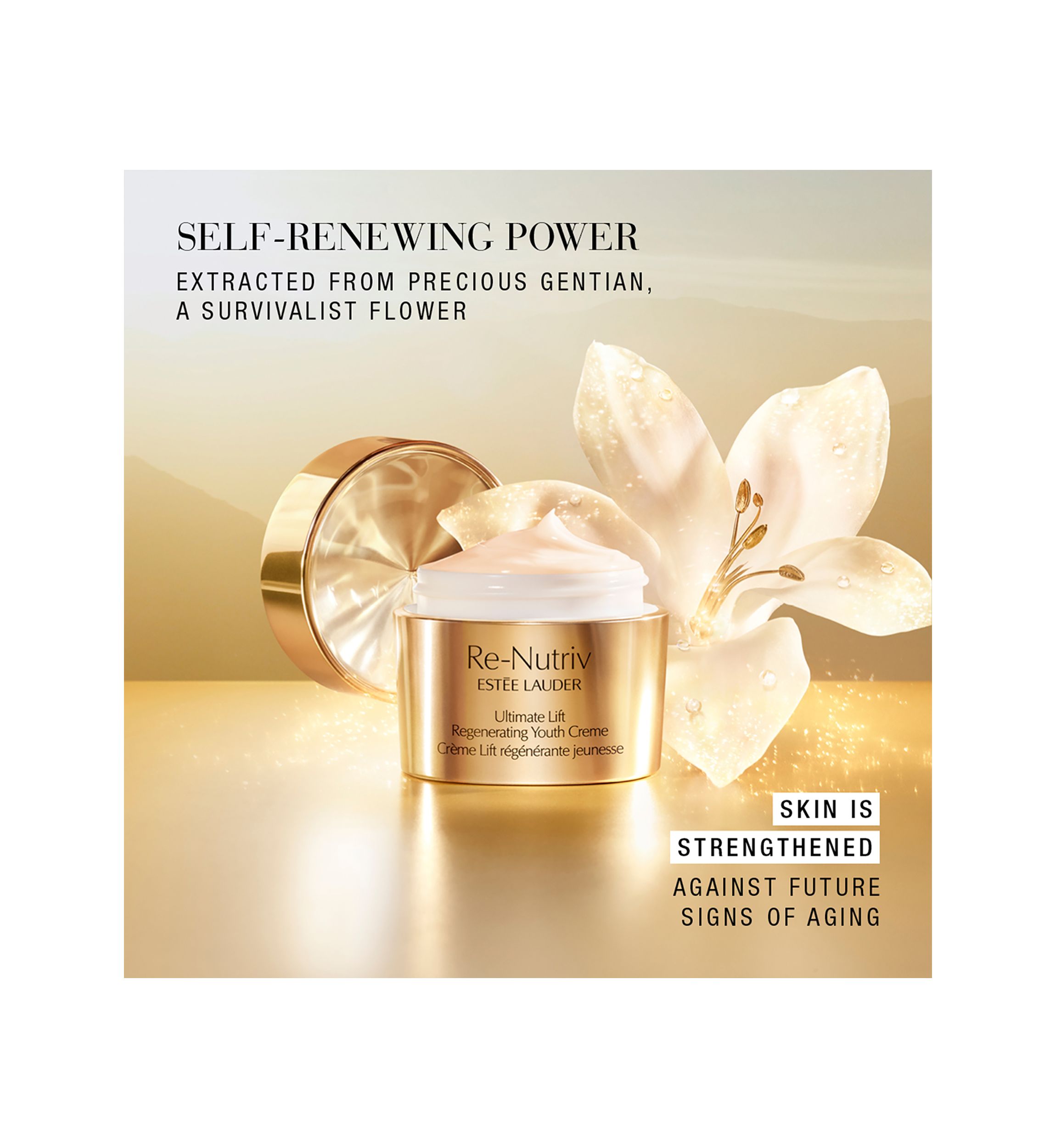 The Secret of Infinite Beauty Luxury Re-Nutriv Gift Set - $795 Value!