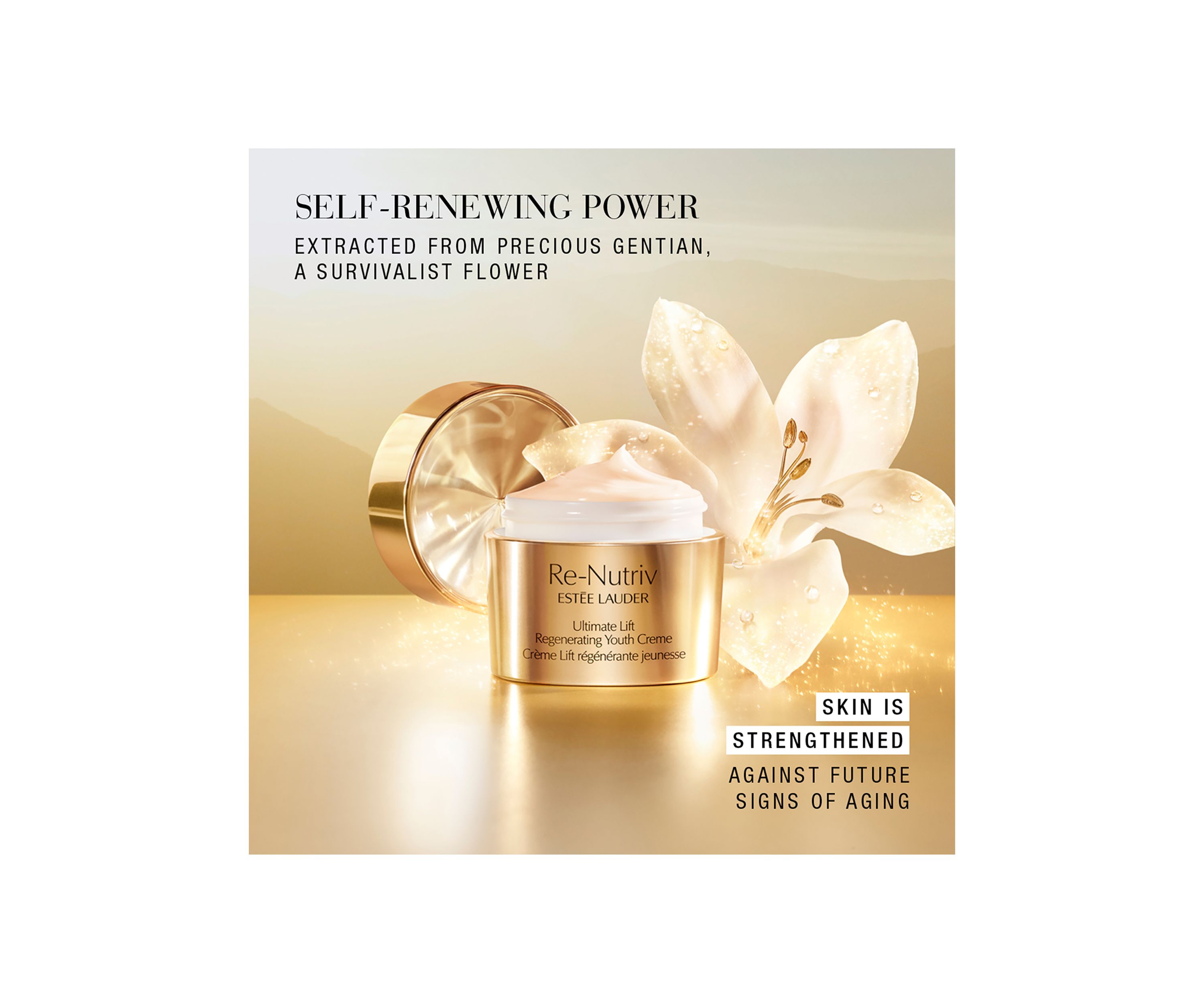 The Secret of Infinite Beauty Luxury Re-Nutriv Gift Set - $795 Value!