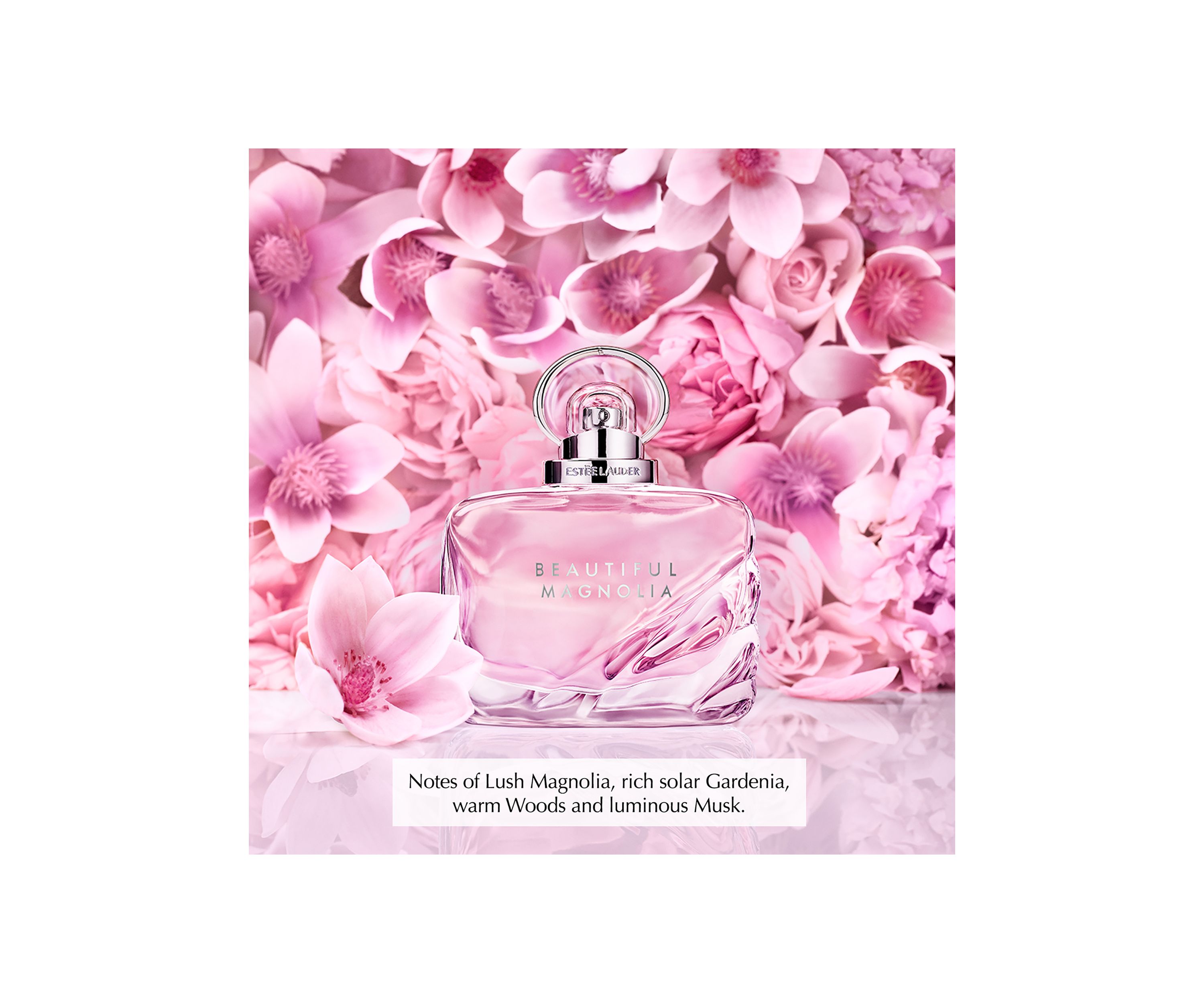 Beautiful Magnolia Favorites Trio Fragrance Set