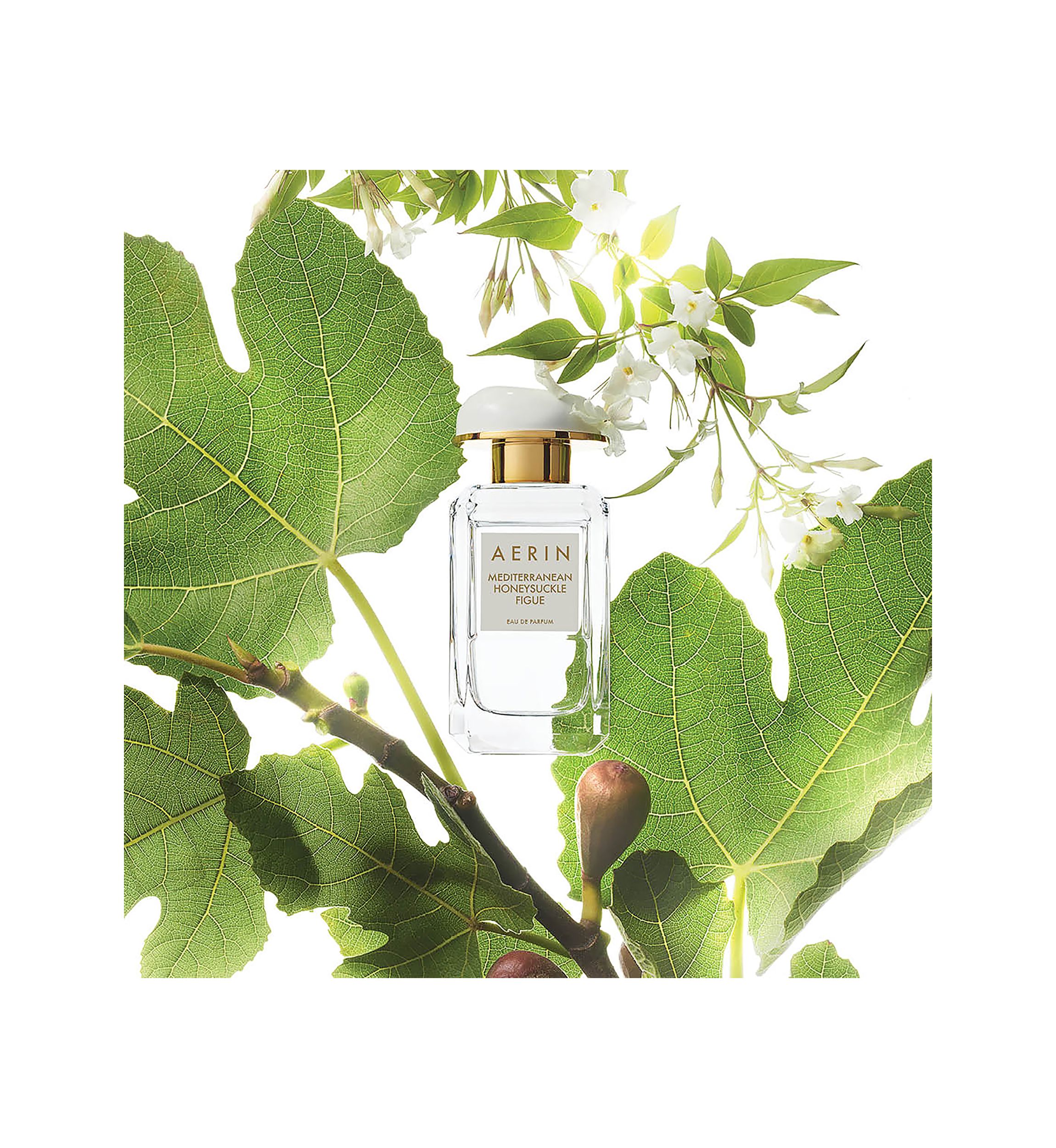 AERIN Mediterranean Honeysuckle Figue Eau de Parfum Spray 