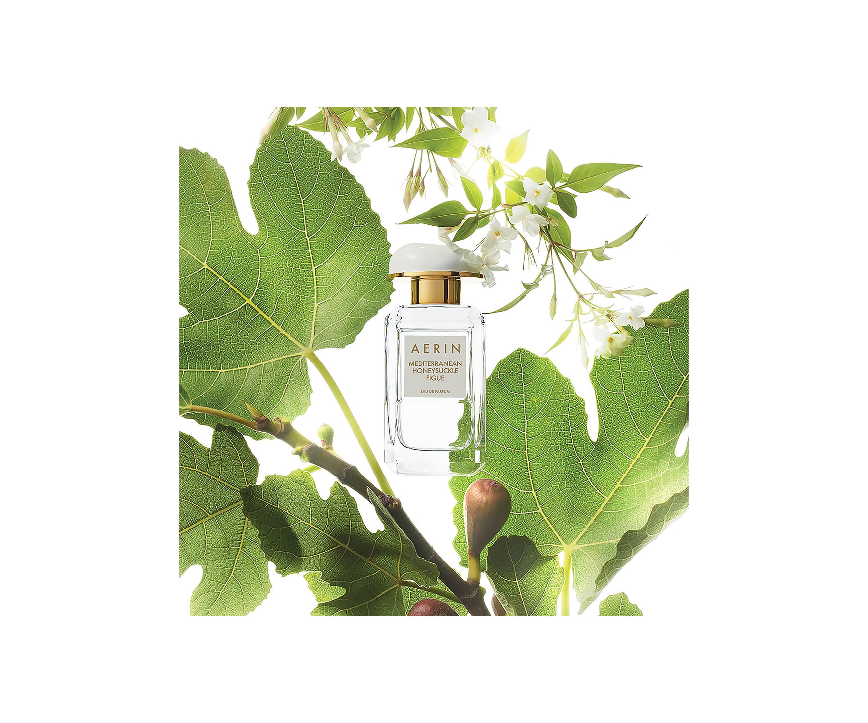 AERIN Mediterranean Honeysuckle Figue Eau de Parfum Spray 