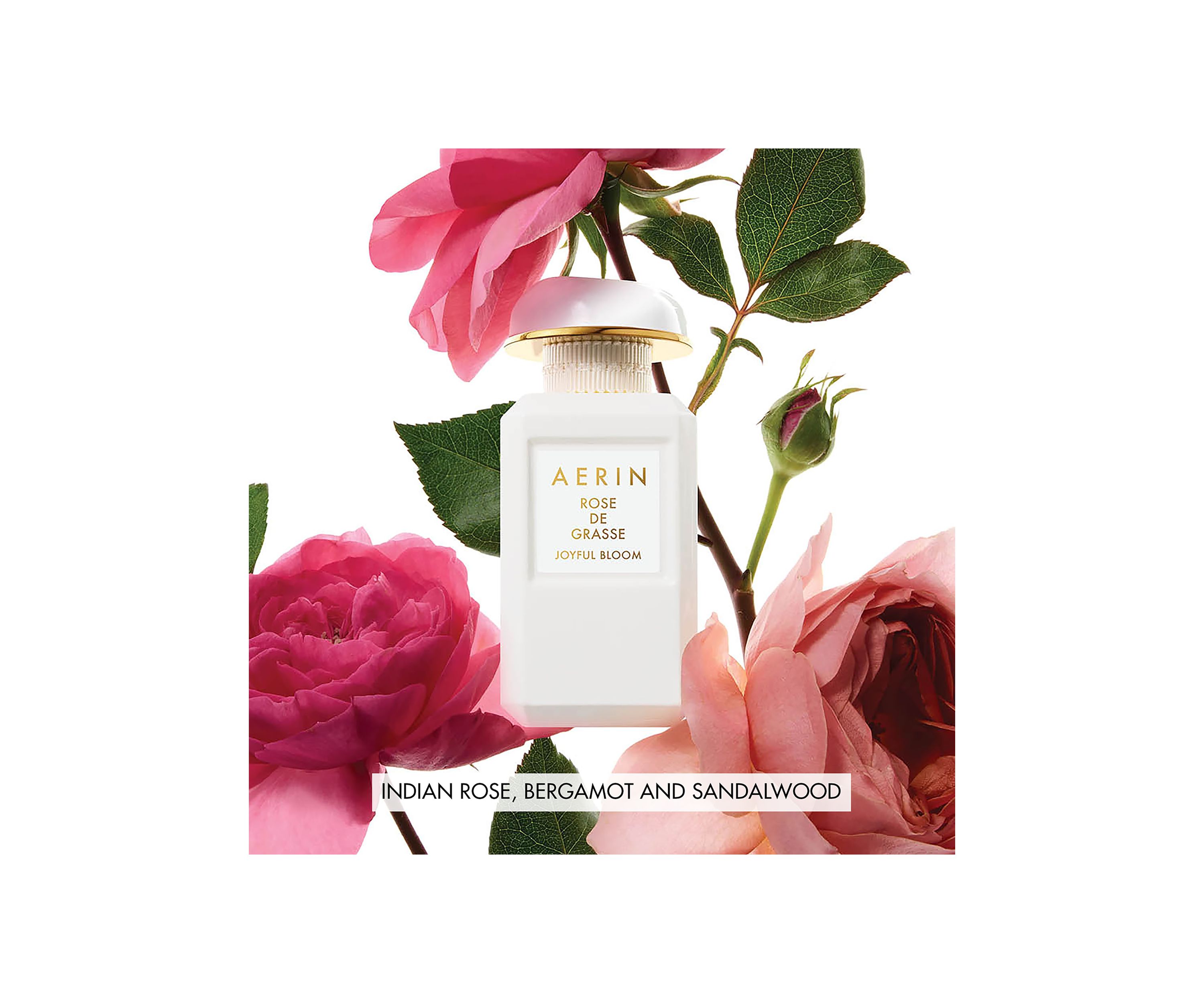 AERIN Rose de Grasse Joyful Bloom Beauty Essentials Set - $232 Value!