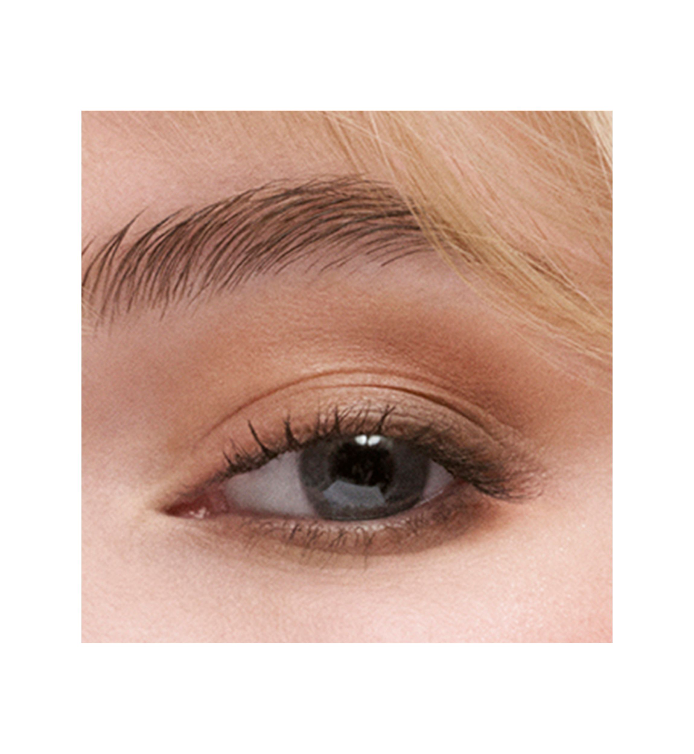 The Essential Eyeshadow Quad