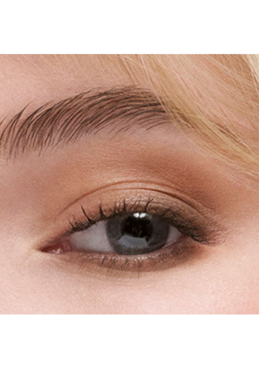 The Essential Eyeshadow Quad