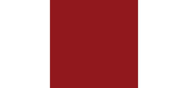 655 MELTED GARNET
