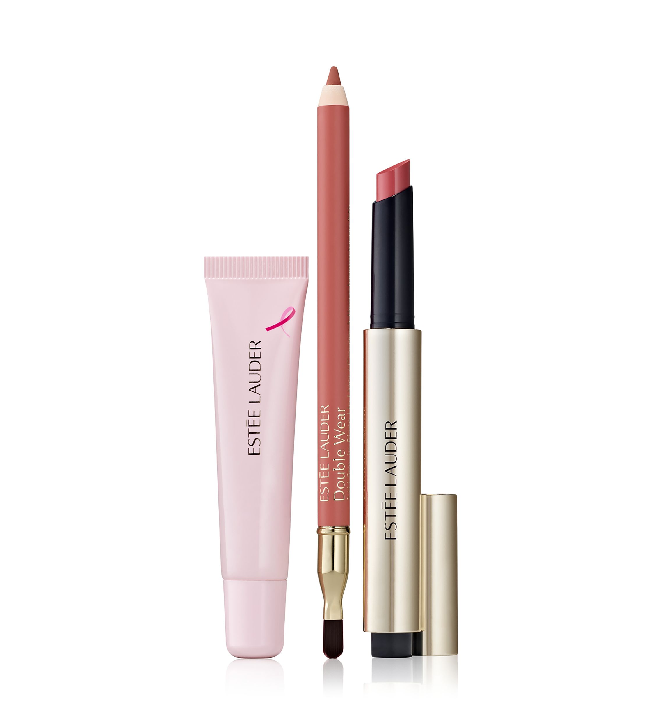 Estée Lauder Pink Horizon Lip Collection Pink Ribbon Makeup Gift