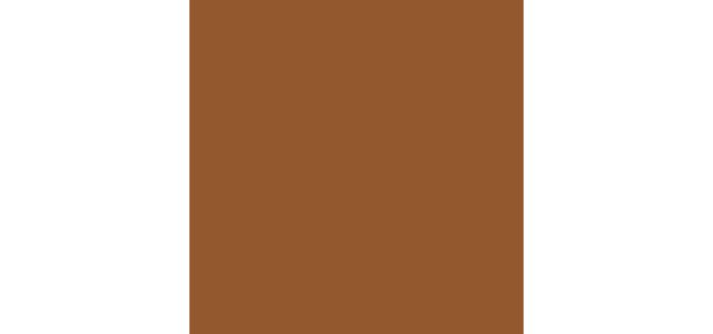 5W1 BRONZE