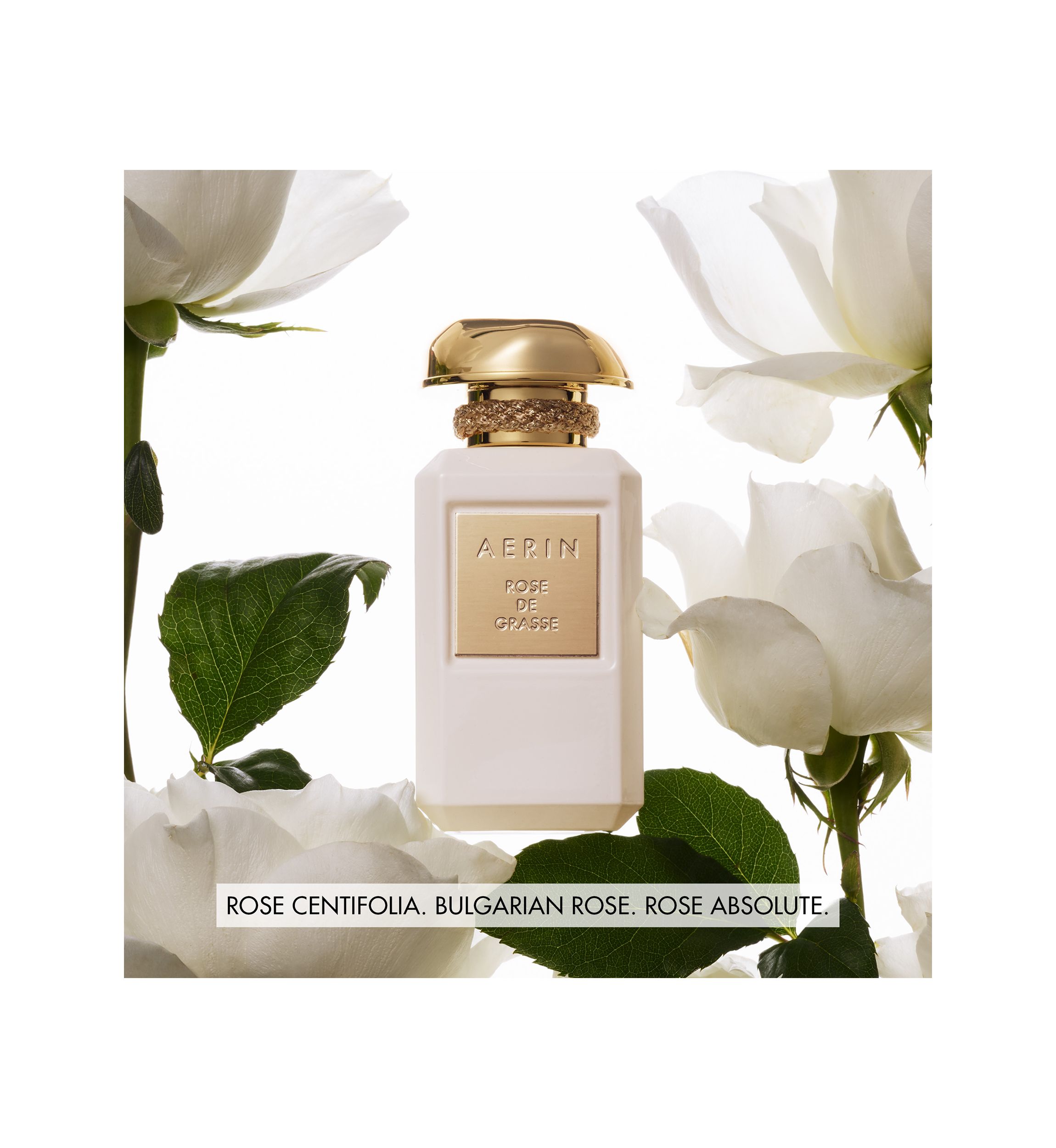 AERIN Rose de Grasse Parfum