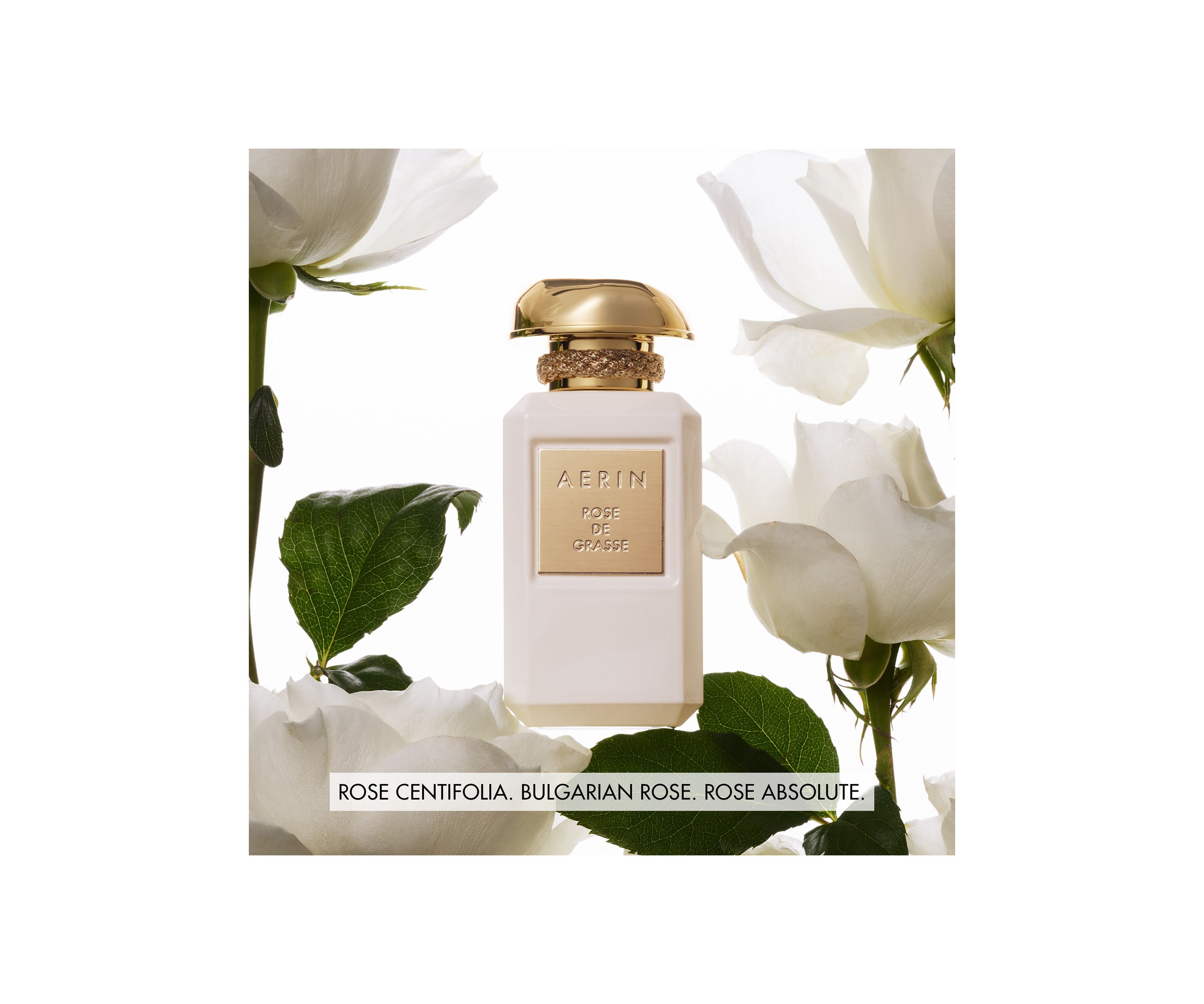 AERIN Rose de Grasse Parfum