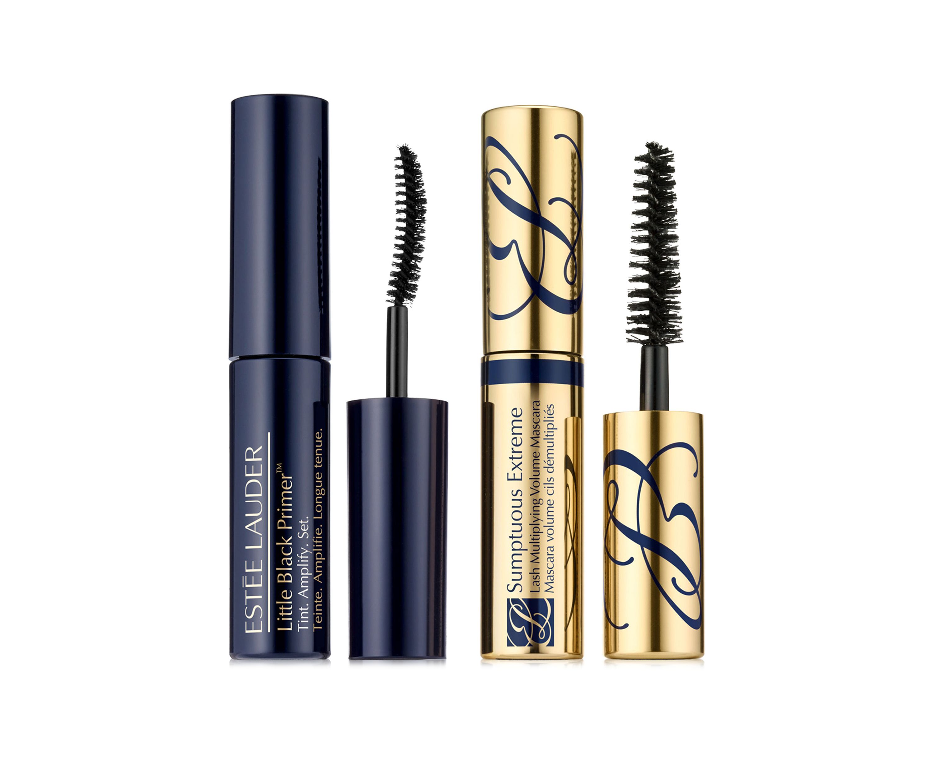 Amplifying Primer + Bold Lashes
