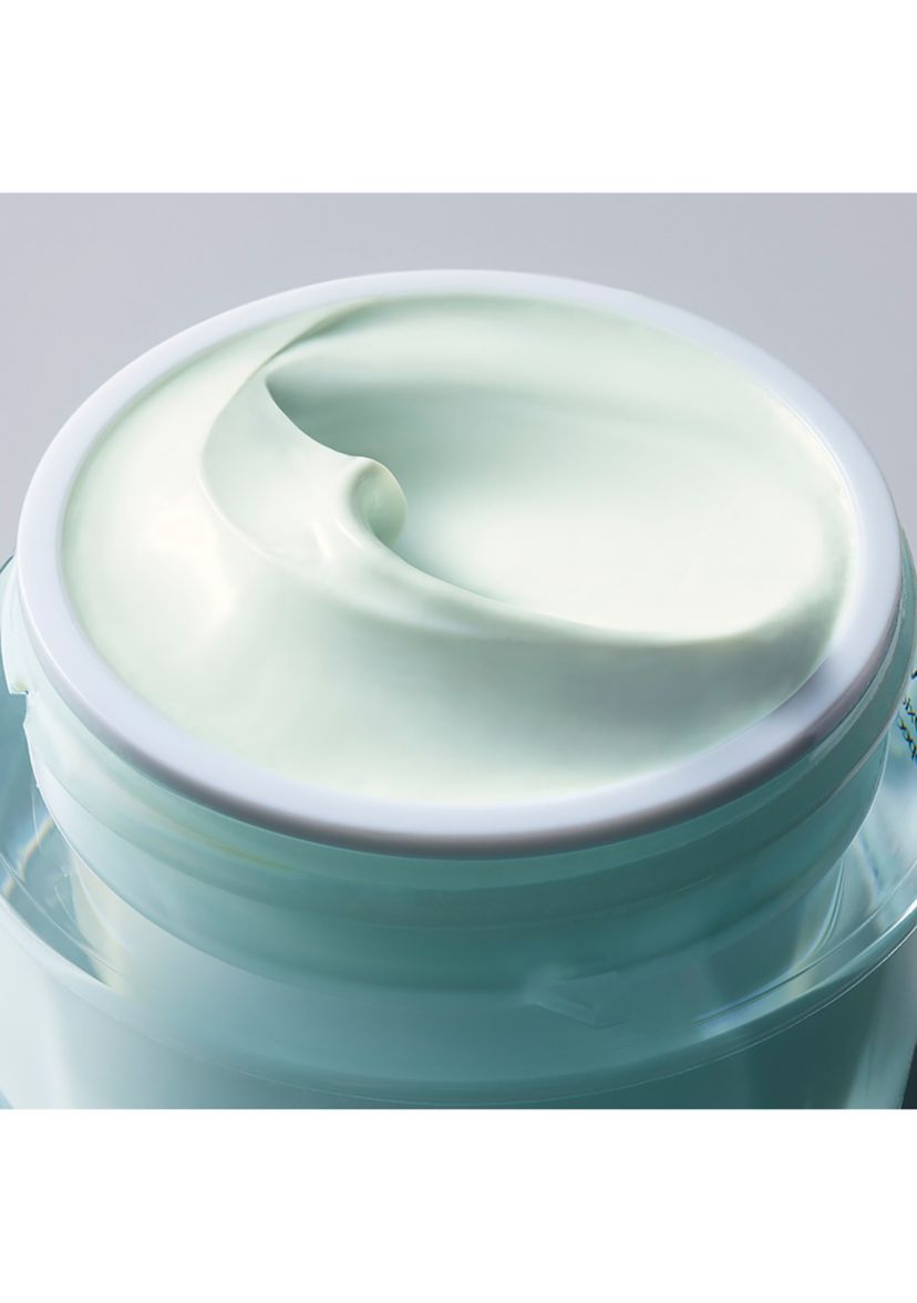 DayWear Multi-Protection Antioxidant 24-Hour Moisture Crème Moisturizer SPF 15 for Dry Skin