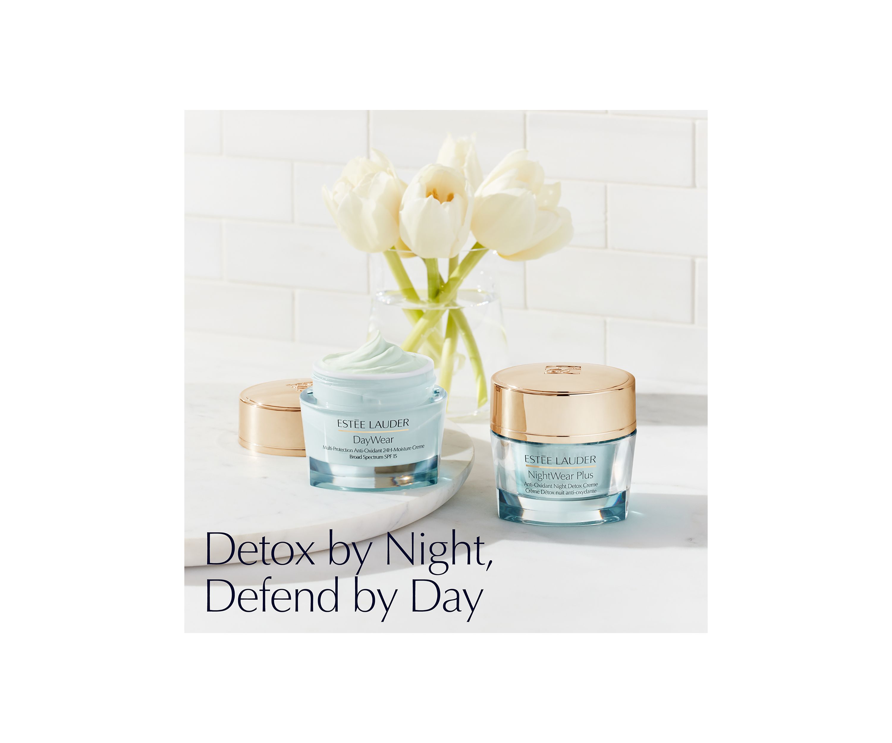 DayWear Multi-Protection Antioxidant 24-Hour Moisture Crème Moisturizer SPF 15 for Dry Skin
