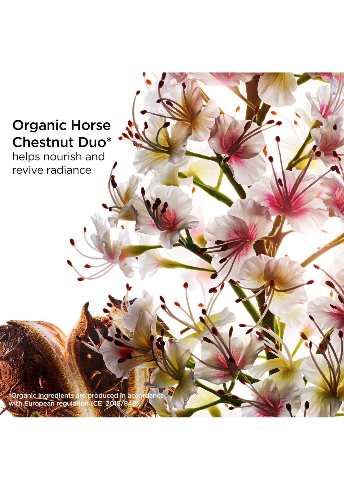 Nutri-Lumiere Anti-Aging & Nourishing Night Moisturizer