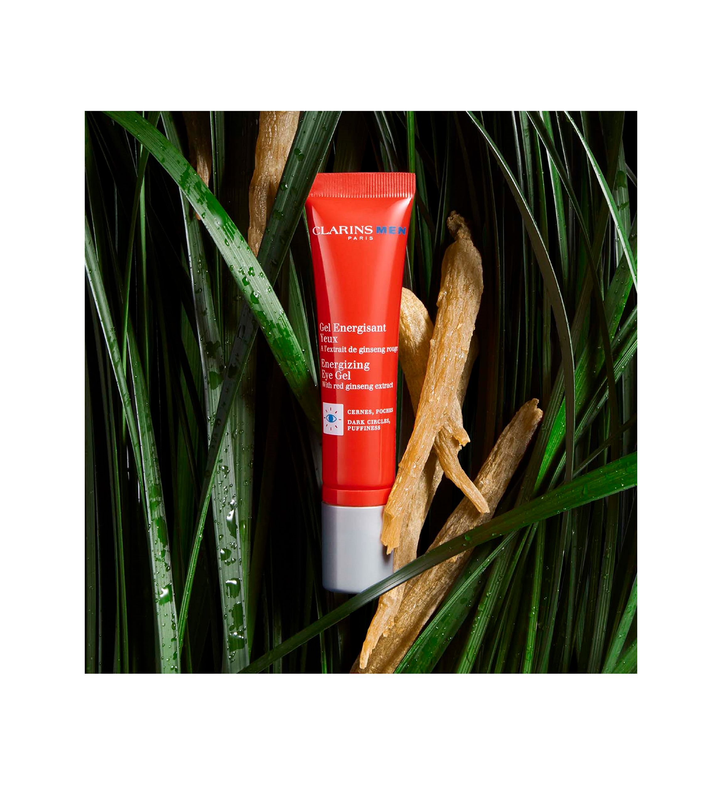 Energizing Dark Circle & Puffiness Eye Gel