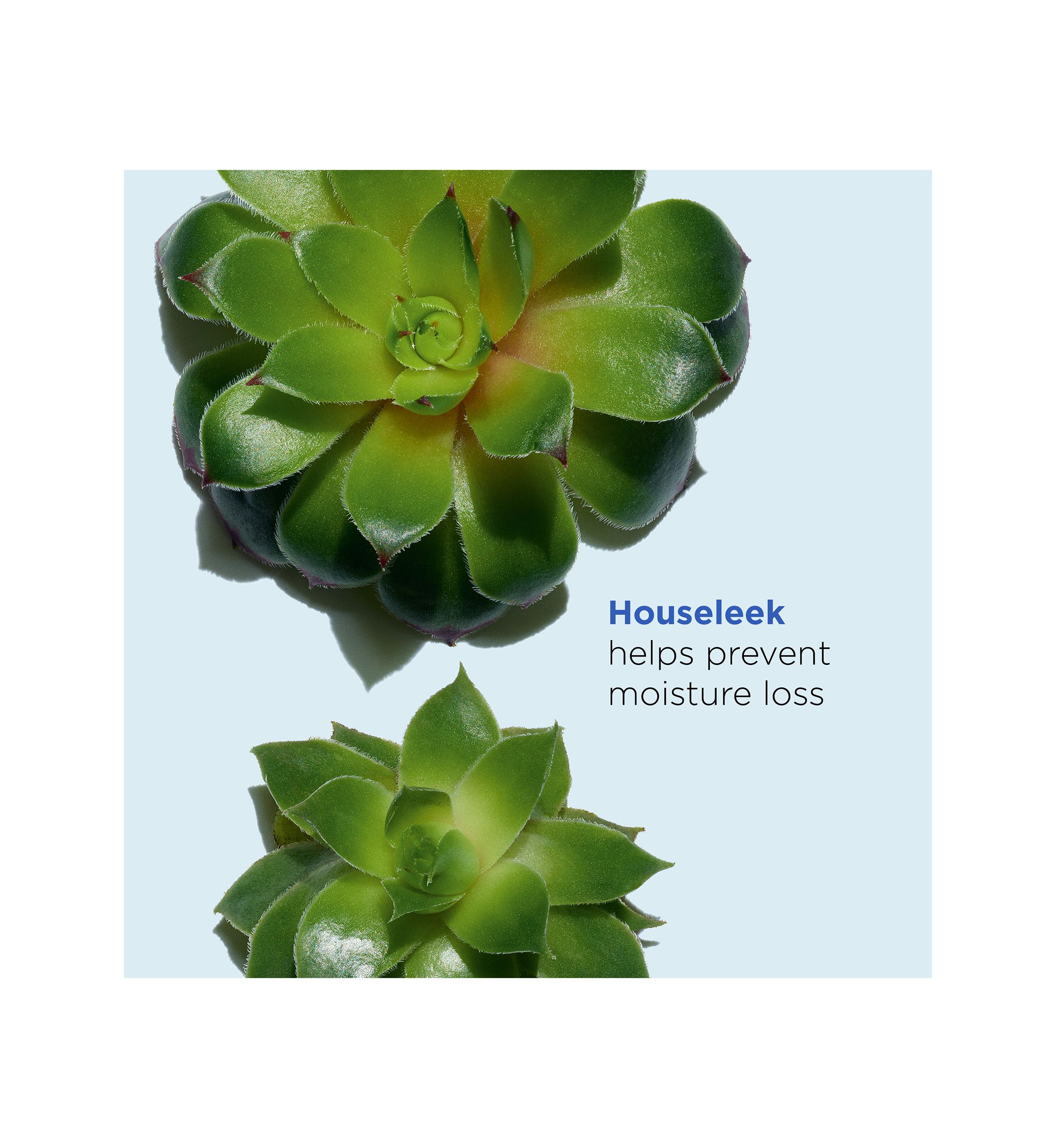 Super Hydrating Moisturizer Balm